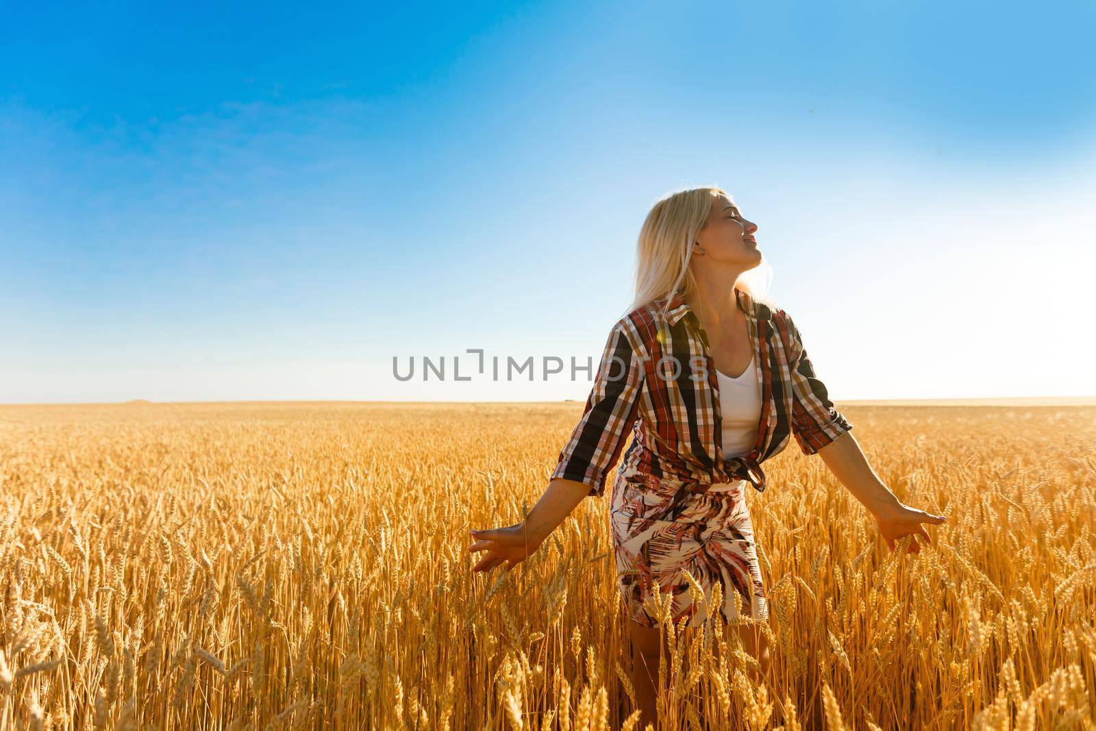 A girl in the midst of wheat spikelets. Caucasian woman posing with spikelets outside.