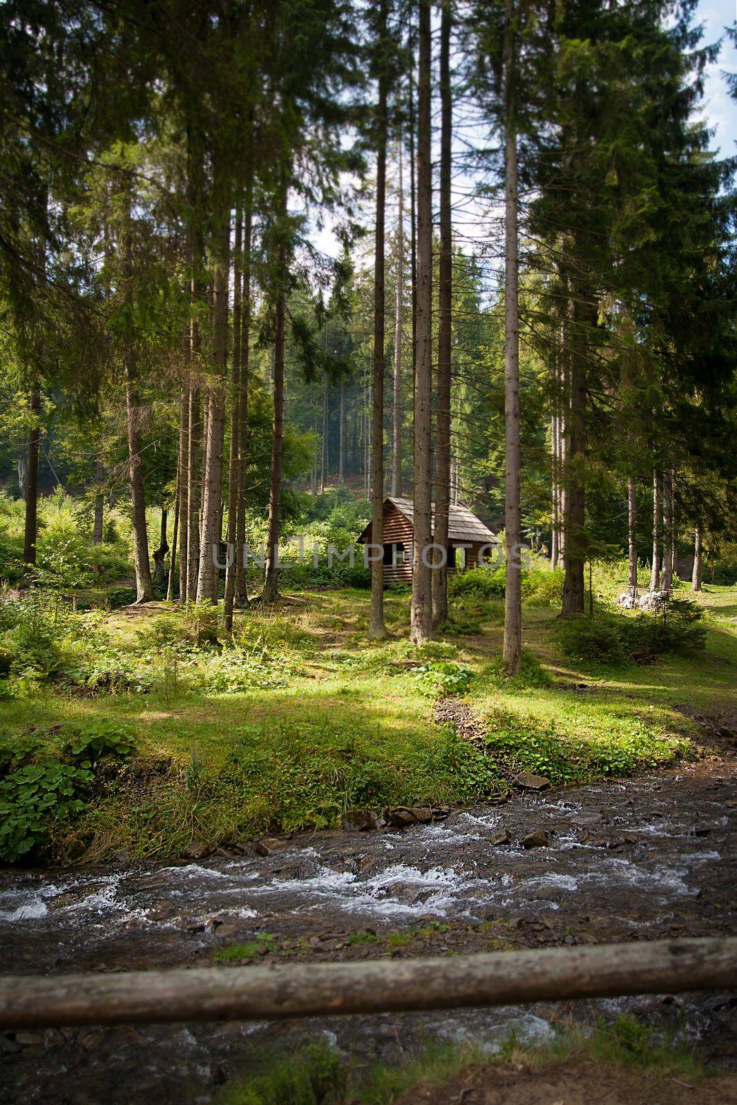 Wooden house in forest, house made of natural materials with creek