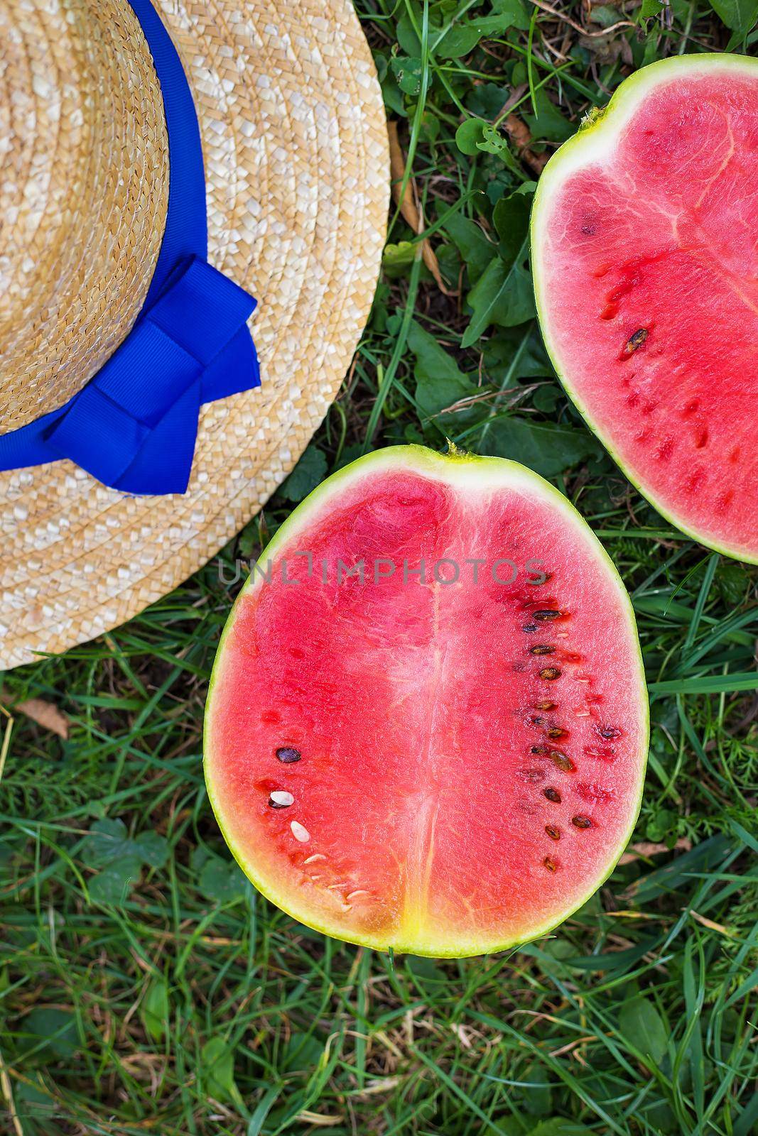 hat and red watermelon on the green lawn