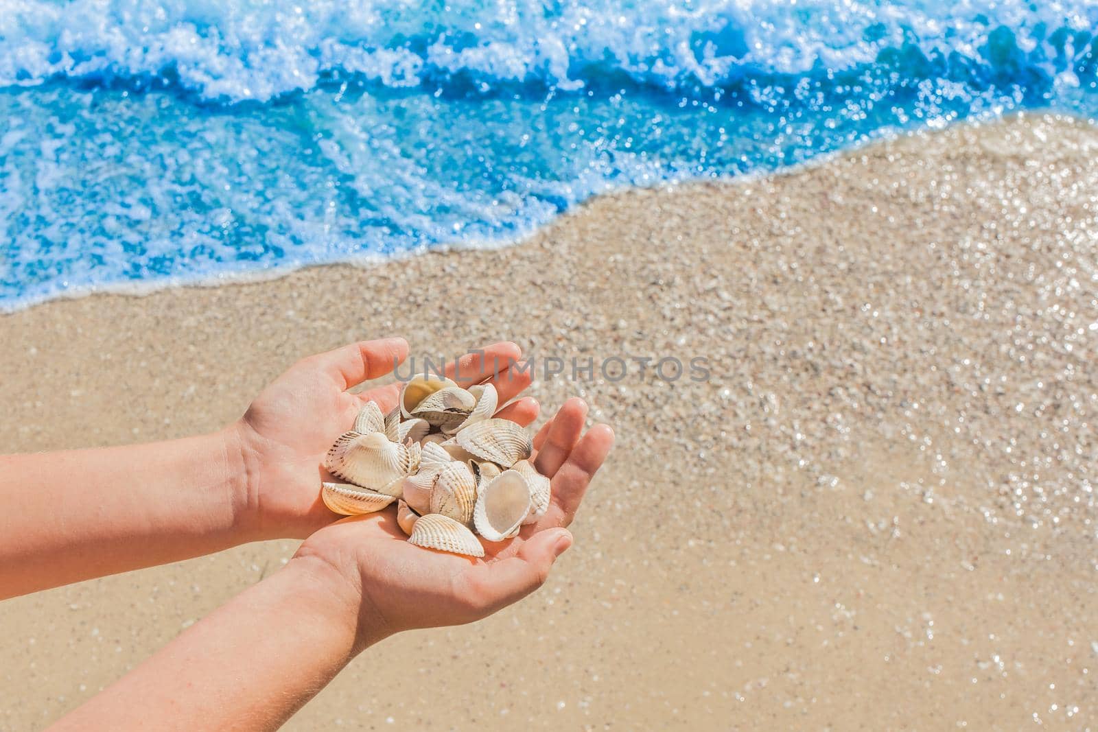 The hands of a young girl hold a pile of shells against the background of the blue sea on the beach close-up.