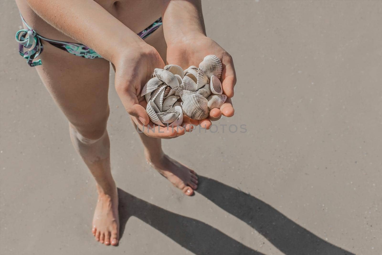 A young girl stands on the beach and holds a bunch of shells to copy space.