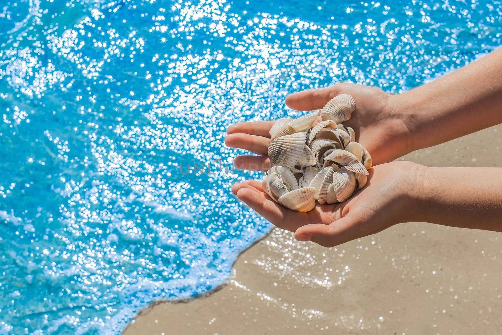 The hands of a young girl hold a pile of shells against the background of the blue sea on the beach close-up by AYDO8