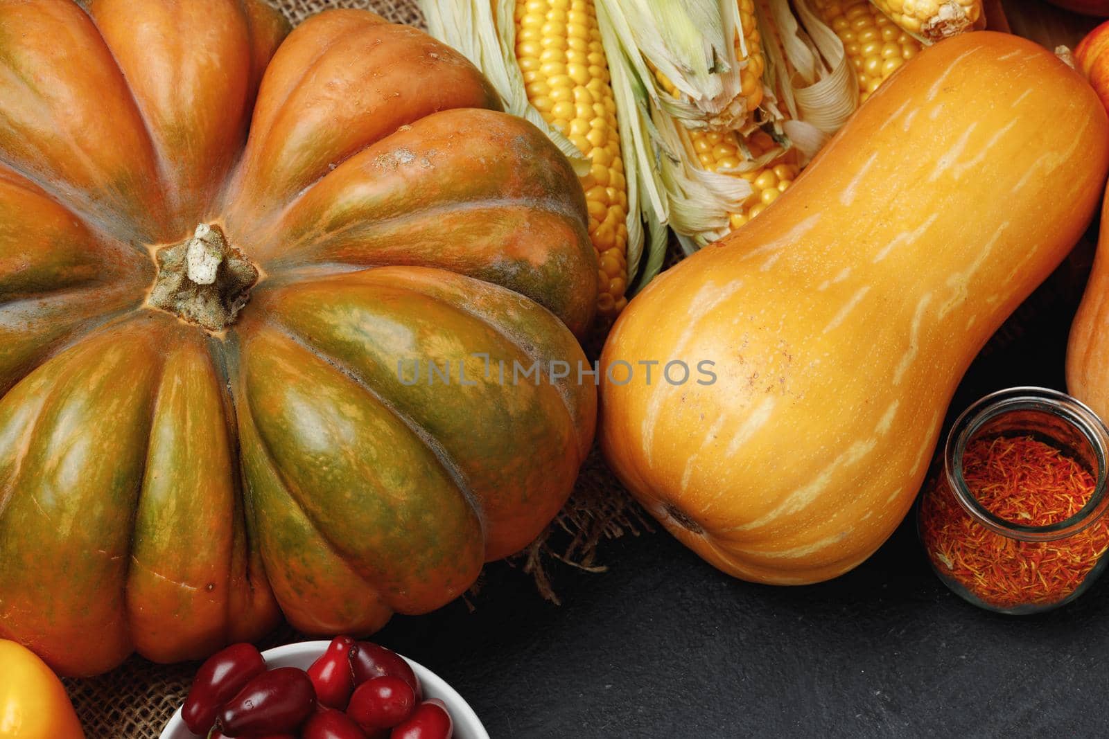 Pumpkins and corn cobs on black background close up
