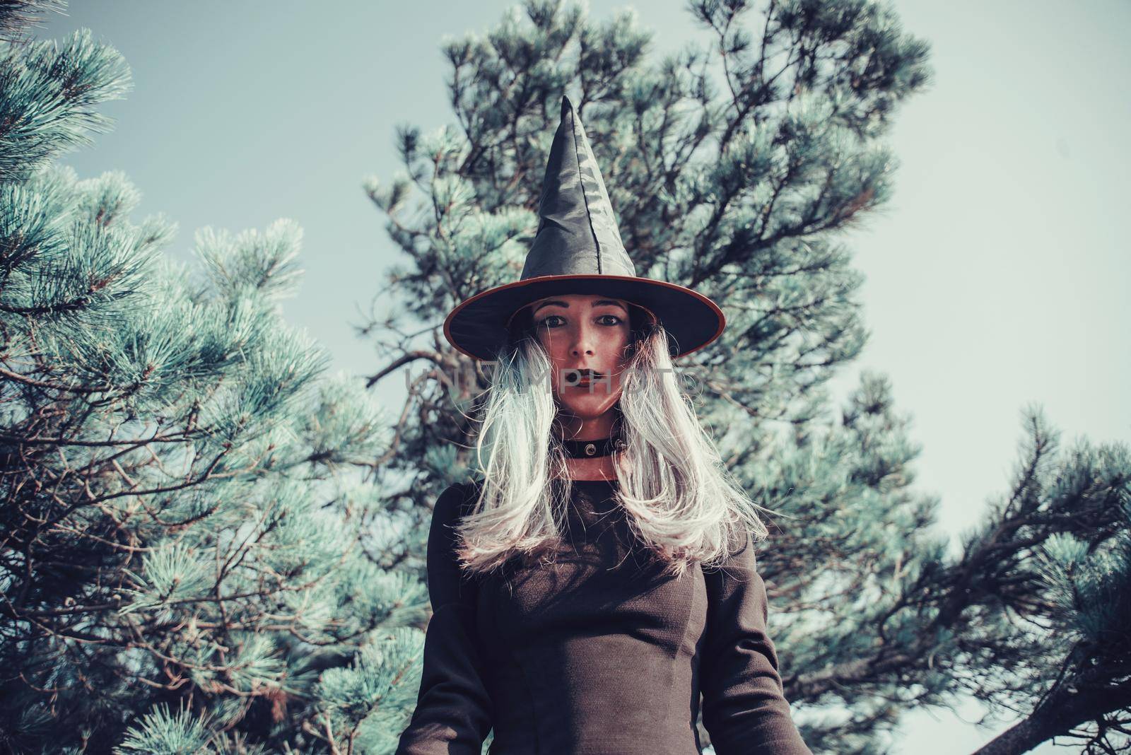 Dark witch in the forest by alexAleksei