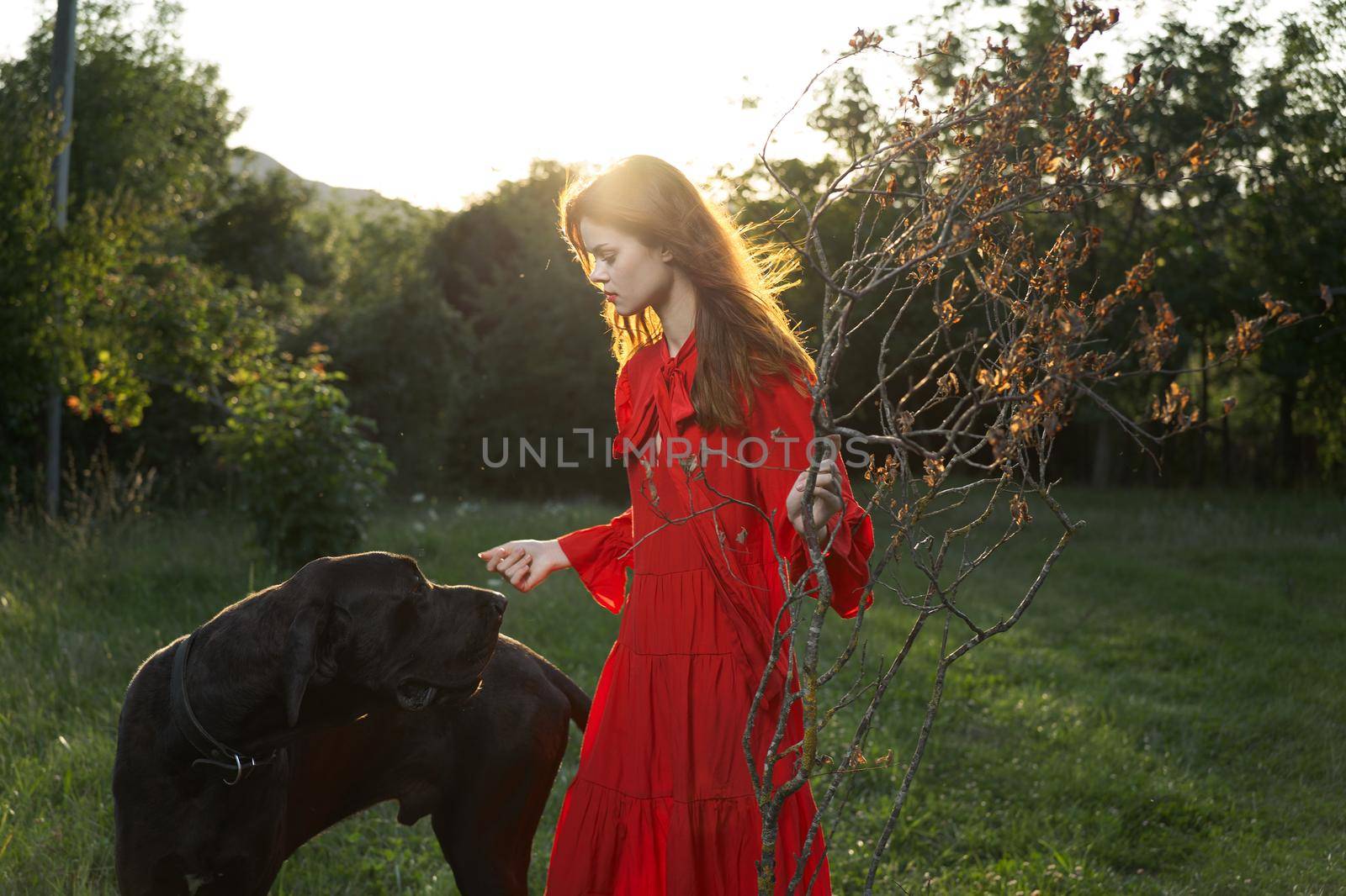 beautiful woman in a red dress outdoors with a black dog friendship. High quality photo