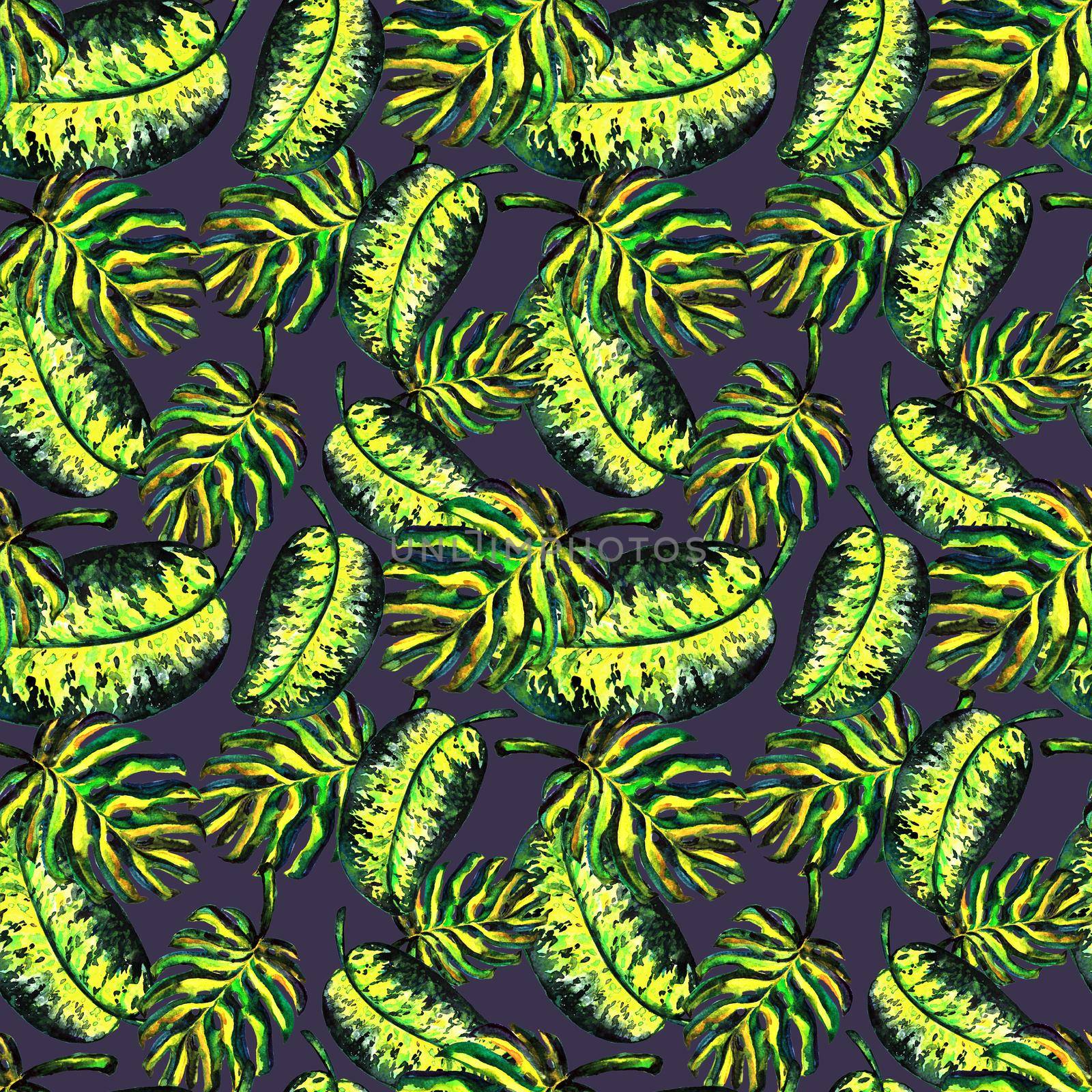 Seamless pattern of leaves monstera by DesignAB