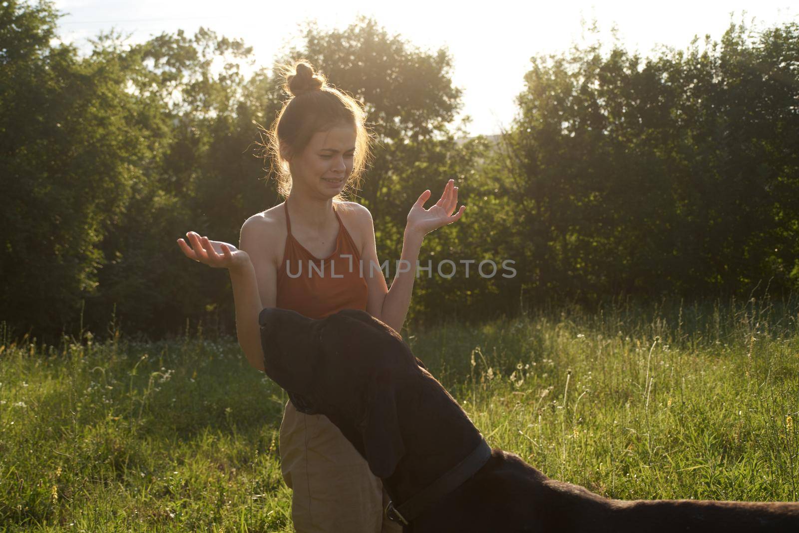 cheerful woman playing with a dog in a field in nature in summer. High quality photo