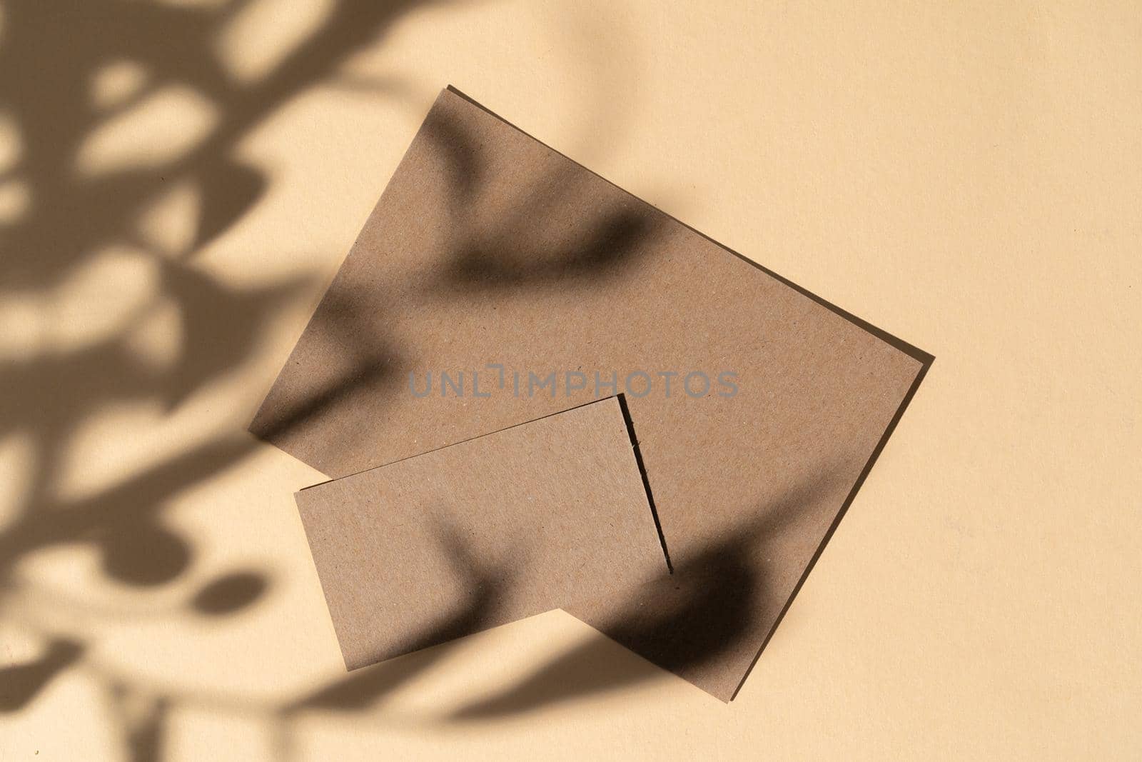 Blank white businesscard on beige background with creative floral shadow, copy space
