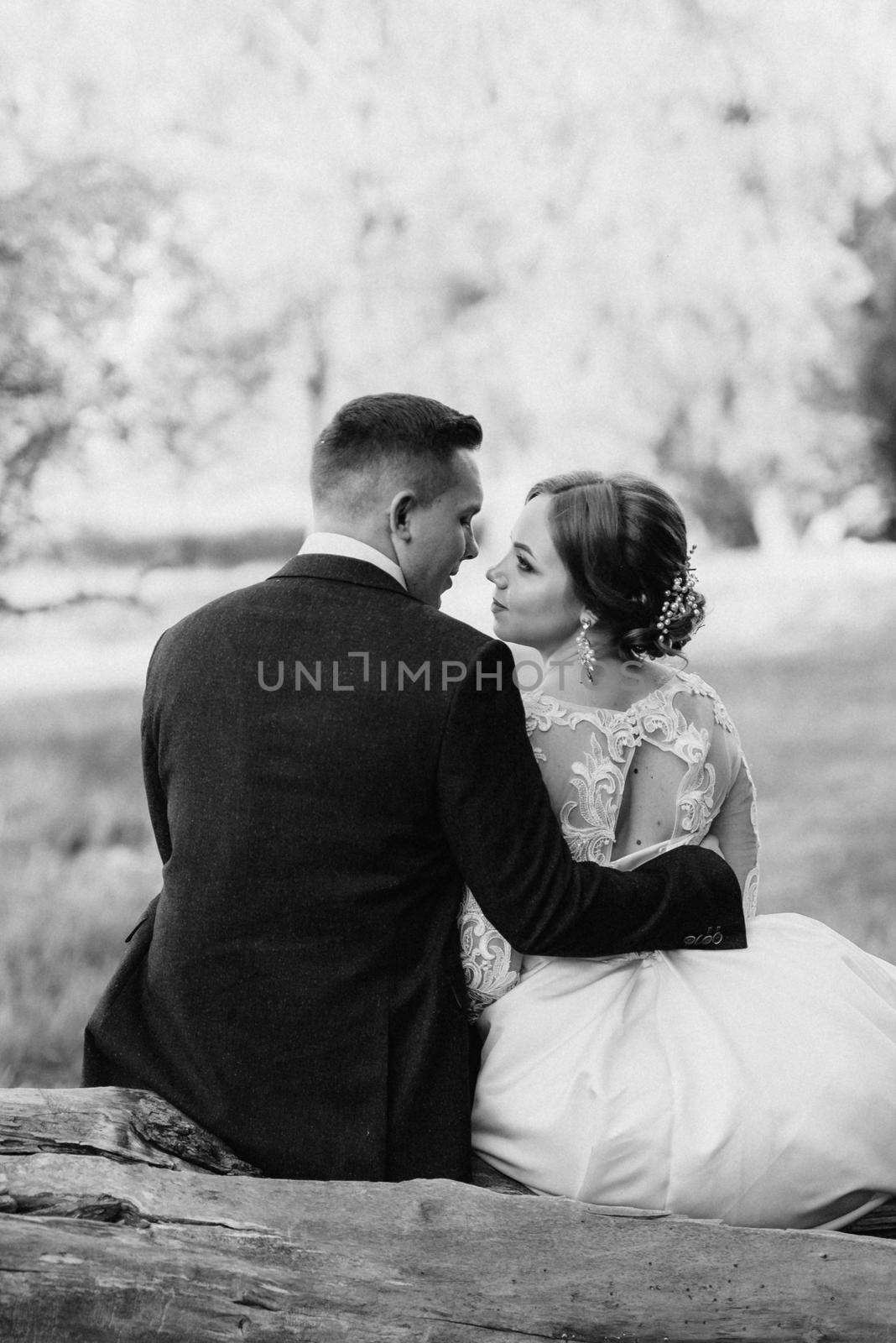 the groom and the bride are walking in the forest near a narrow river on a bright day