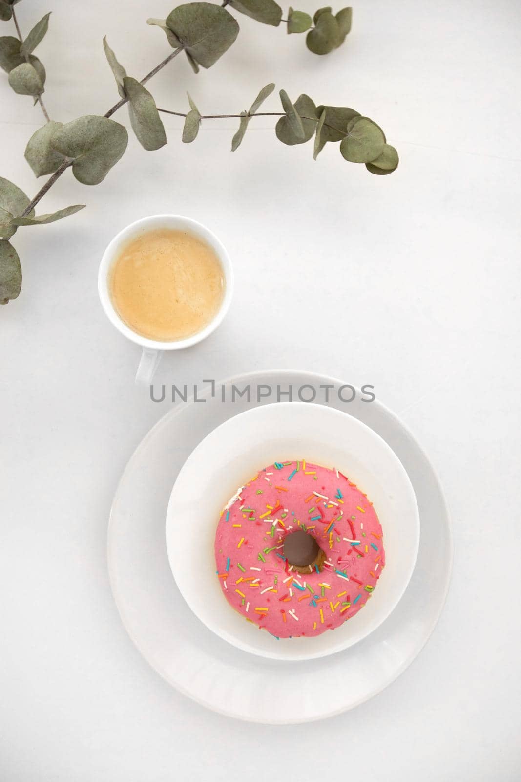 From above shot of delicate branch of houseplant lying near cup of fresh coffee and yummy doughnut on white background