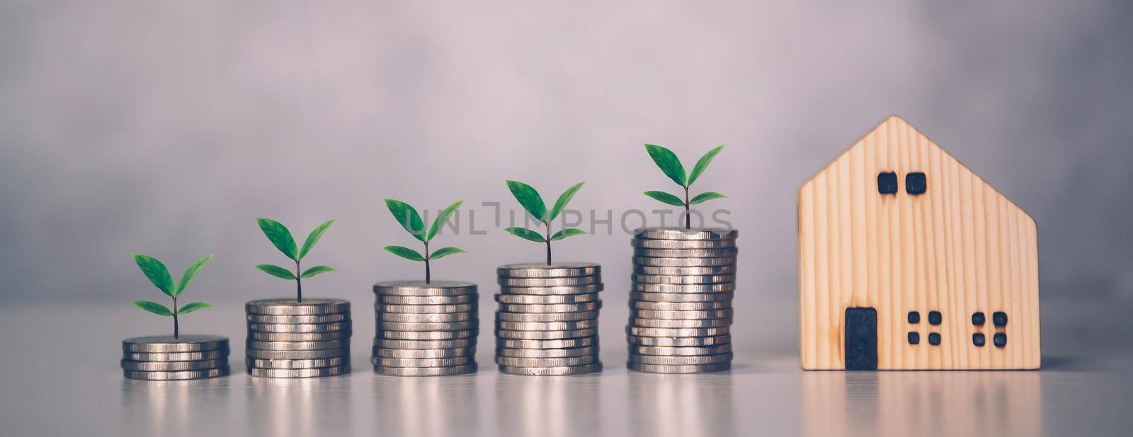 Stack of coin and tree with saving money for real estate and success, finance and investment with leaf, insurance home, deposit and property, residential and financial, business concept. by nnudoo