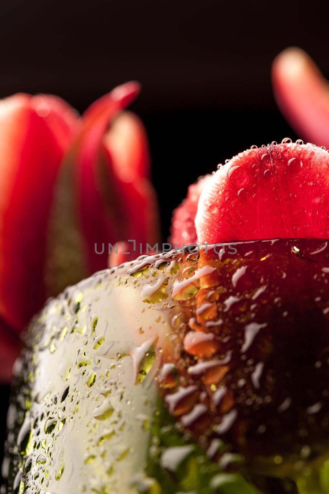 Close up a buds red tulips with water drops in a green glass on a black background. Fine art floral background. Macro.