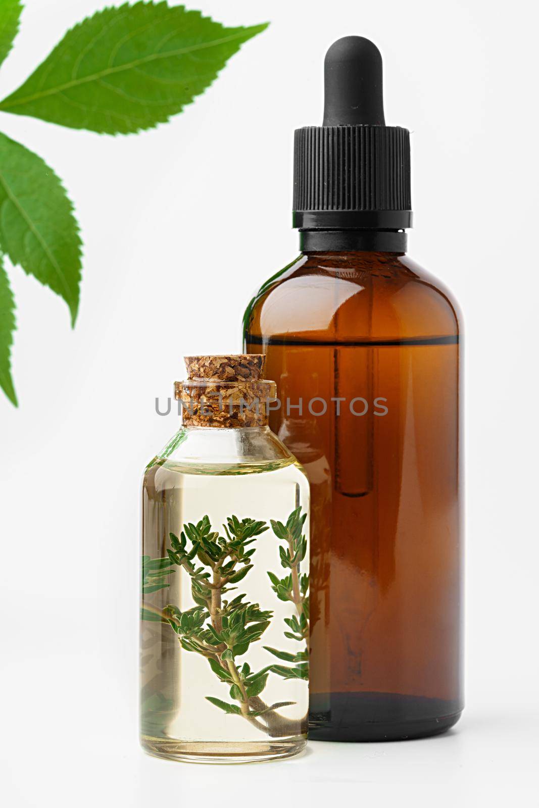Essential oil in a small bottle with green leaf on white background, close up