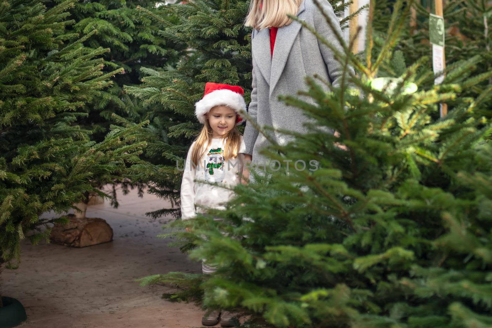 Mother and daughter choose a Christmas tree at a market.