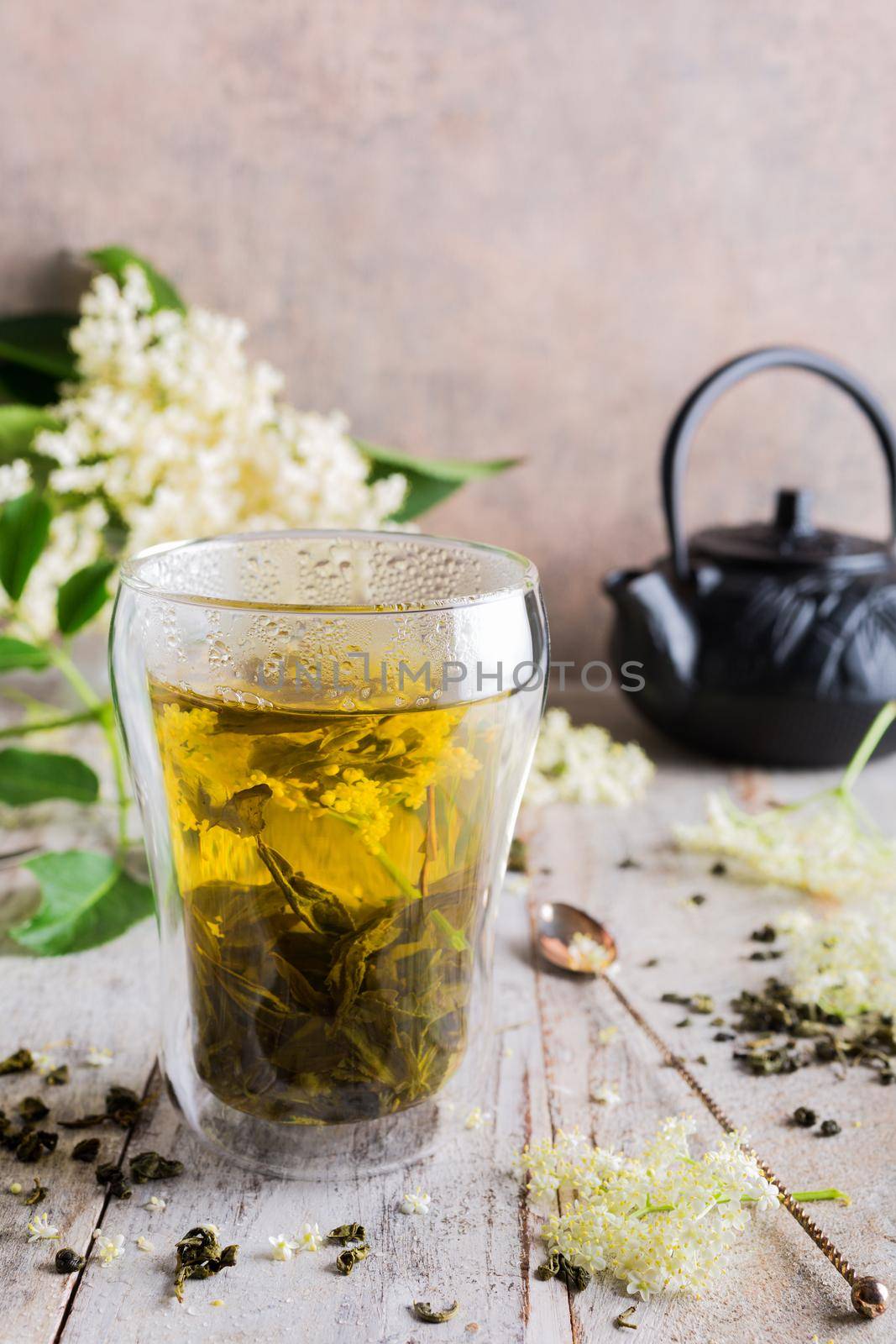 Healthy medicine green tea with elder flower in glass on old white wooden table with elder flower branches. Copy space.