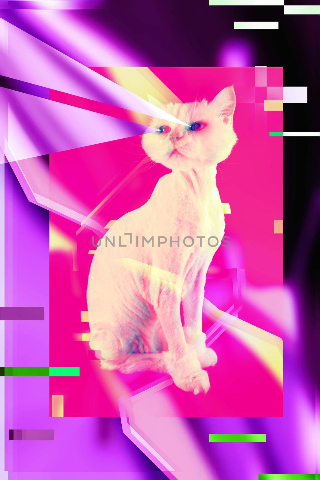 Pink cat. Retro wave synth vaporwave portrait of a funny cat. Concept of memphis style posters. by bashta