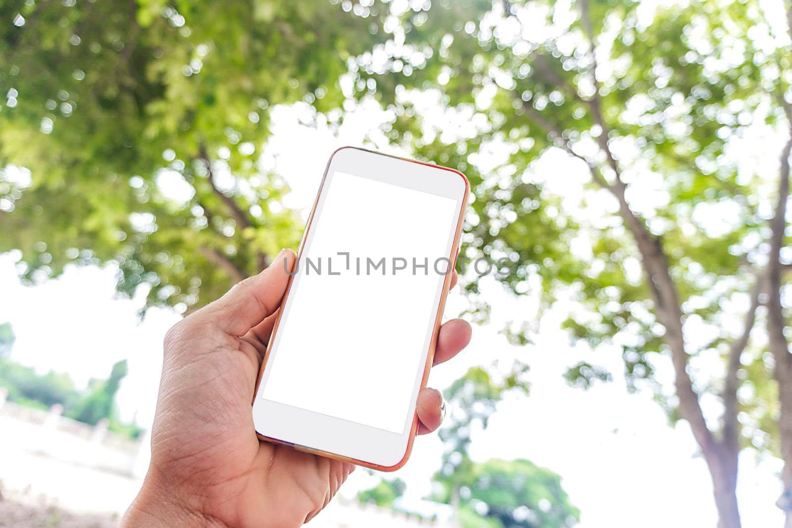 White screen mockup phone with Asian man hands holding smartphone with blank copy space screen for your text message or information content on green tree bokeh background fresh style by yodsawai