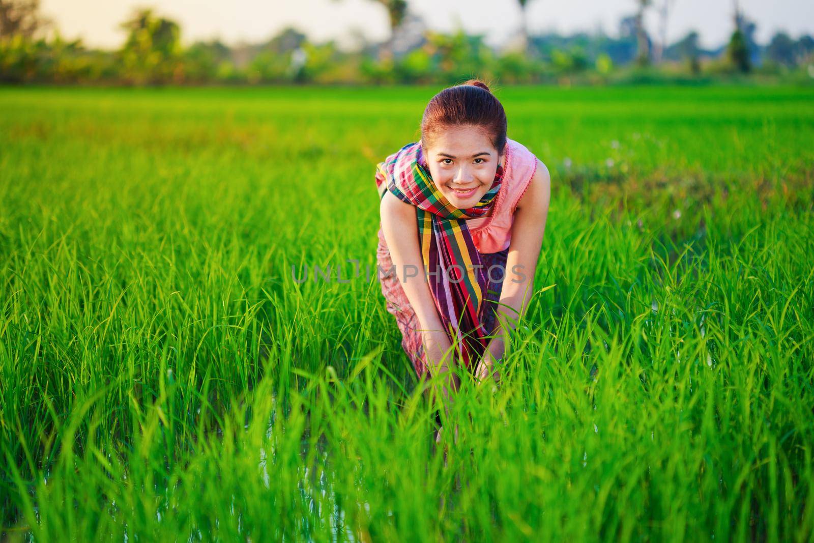 farmer woman working in rice field by geargodz