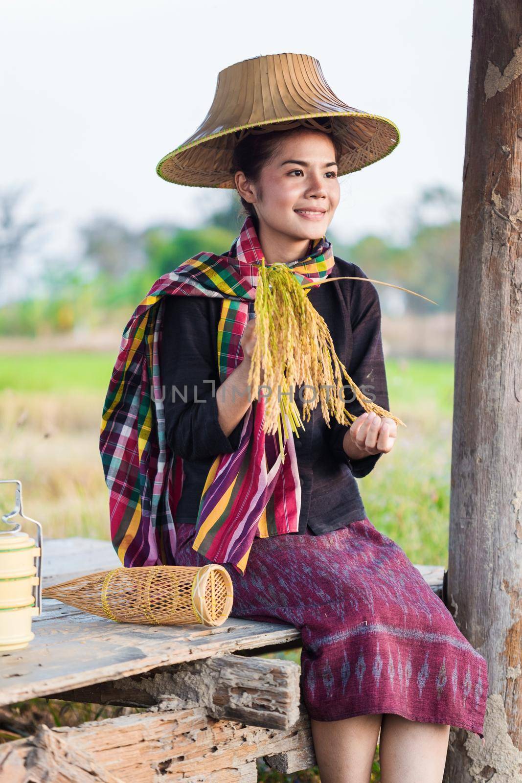 farmer woman holding rice and sitting in cottage at rice field, Thailand