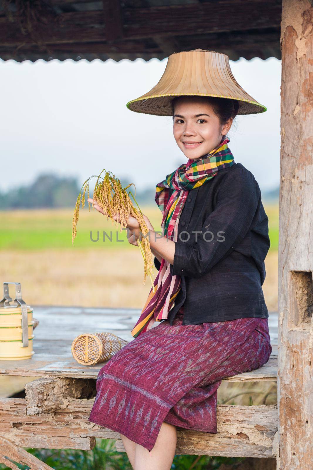 farmer woman holding rice and sitting in cottage at rice field by geargodz
