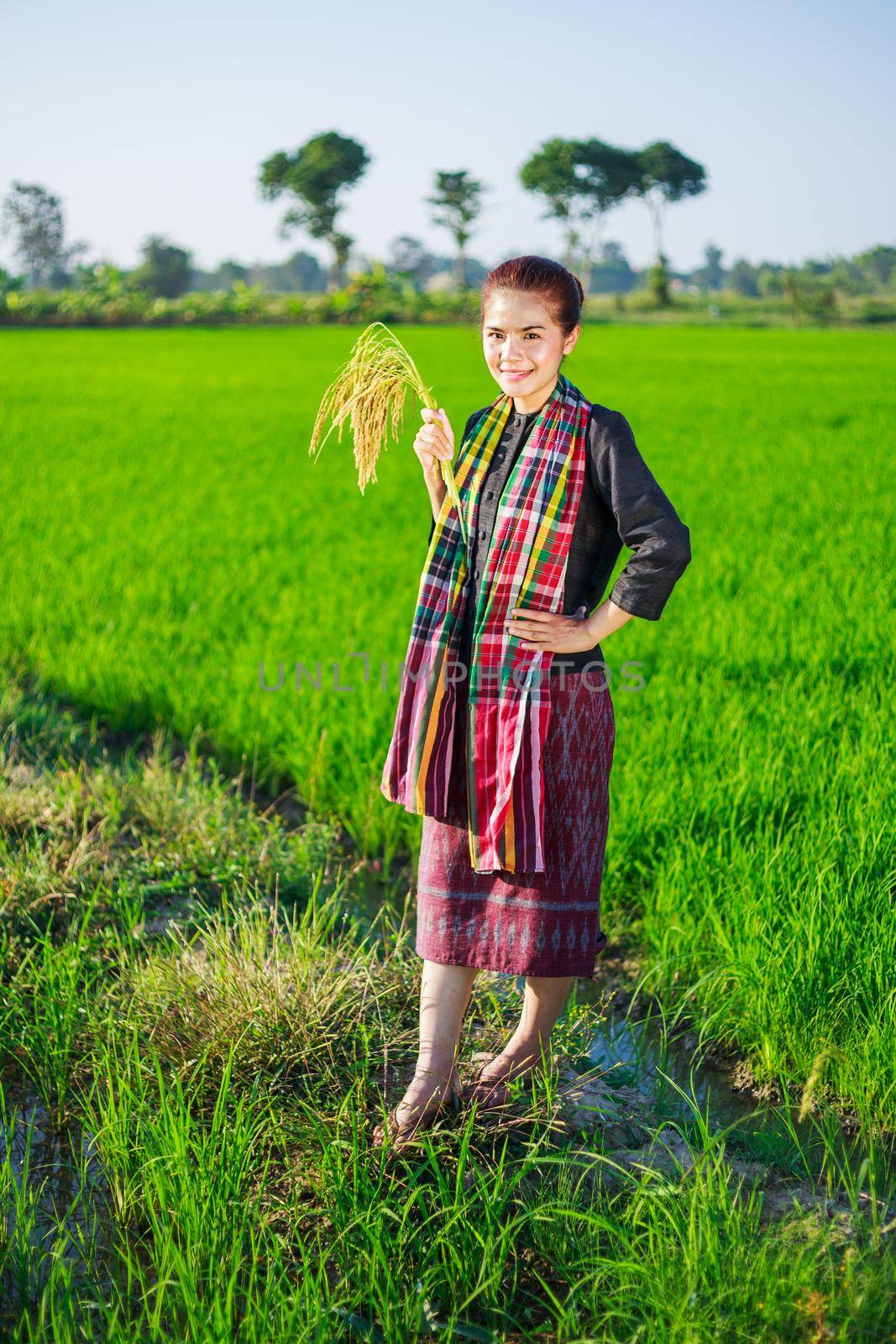 farmer woman holding rice in field by geargodz