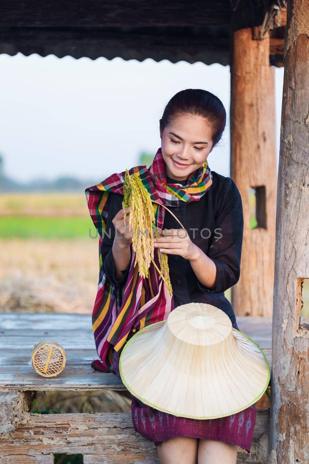 farmer woman holding rice and sitting in cottage at rice field by geargodz