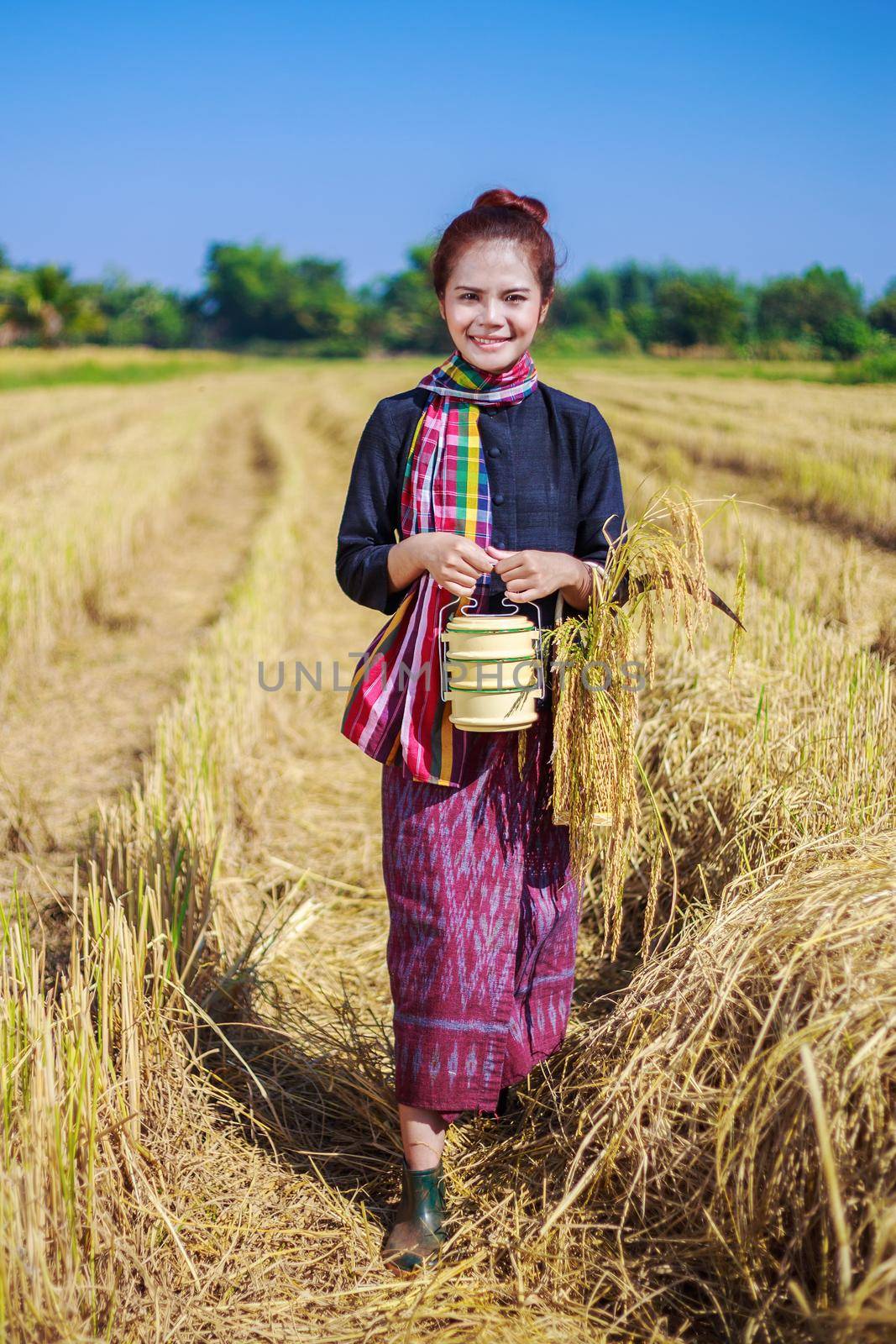 farmer woman with tiffin carrier in rice field by geargodz