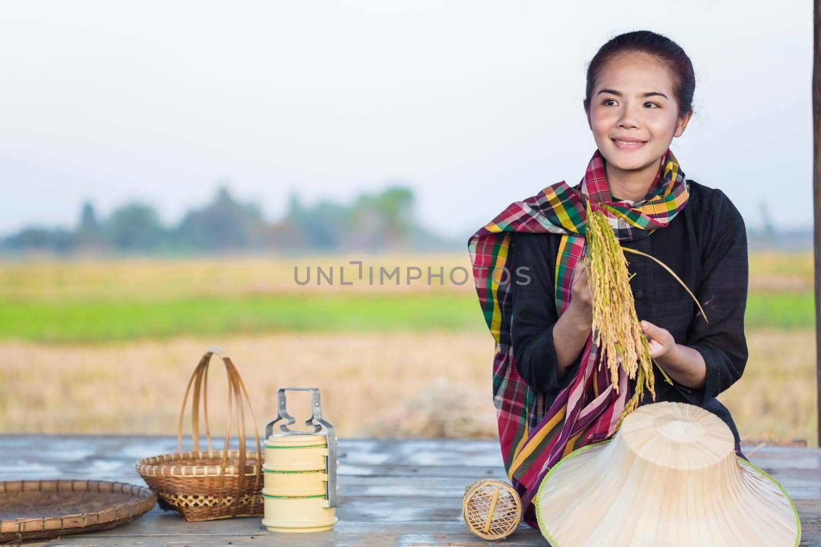 farmer woman holding rice and sitting in cottage at rice field, Thailand