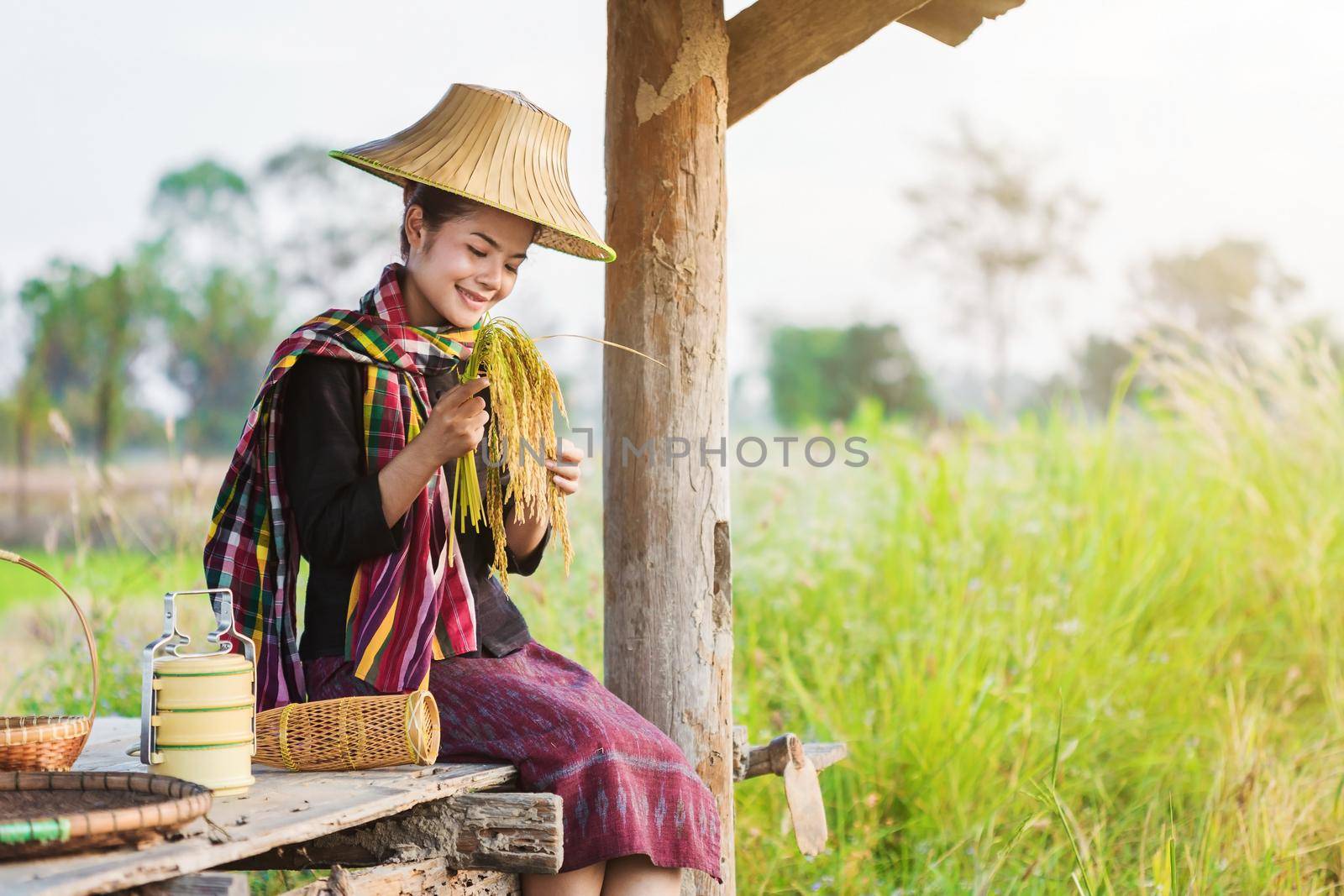 farmer woman holding rice and sitting in cottage at rice field, Thailand