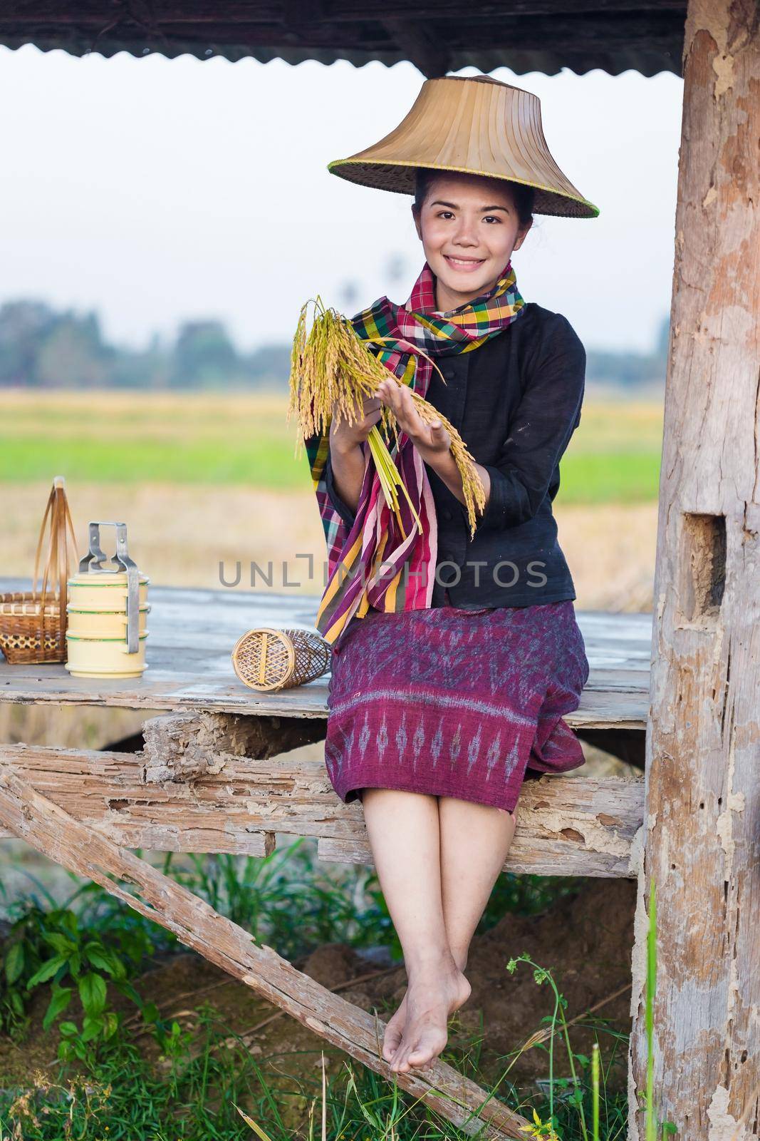 farmer woman holding rice and sitting in cottage at rice field, Thailand