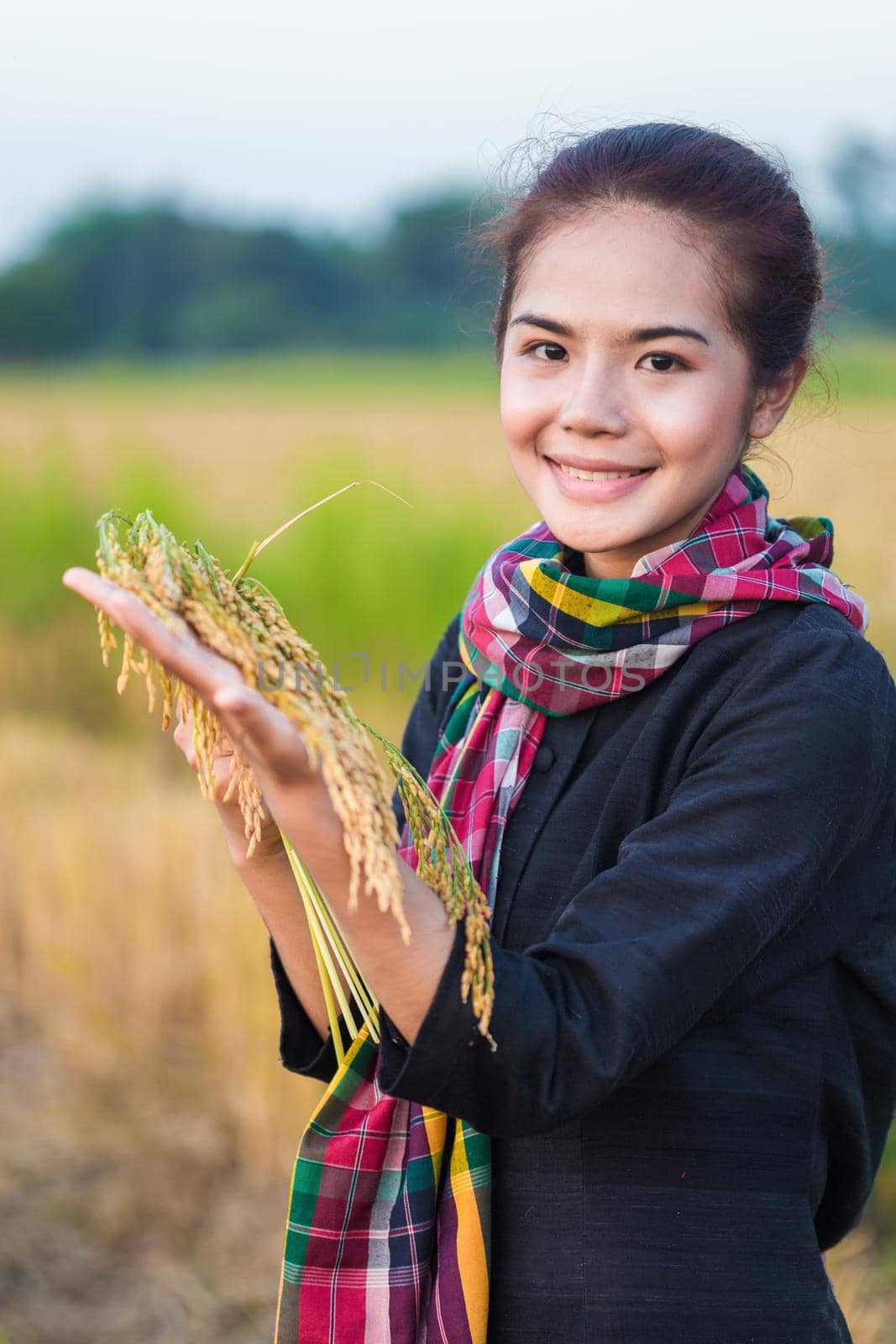 farmer woman holding rice in field, Thailand