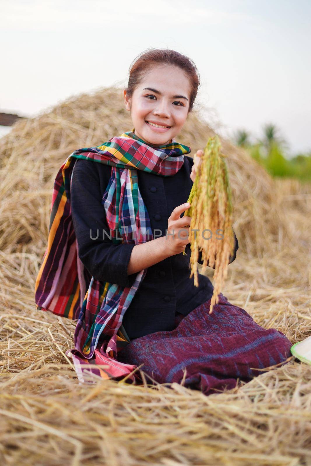 farmer woman holding a rice with the straw in field, Thailand