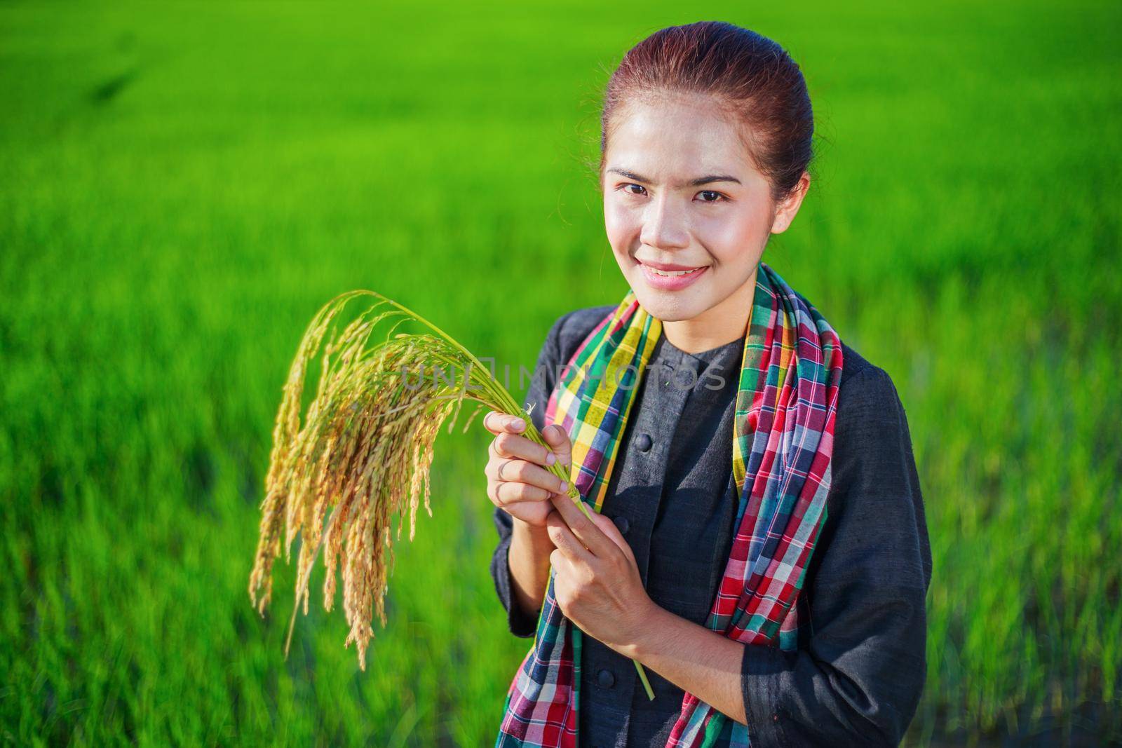 farmer woman holding rice in field, Thailand