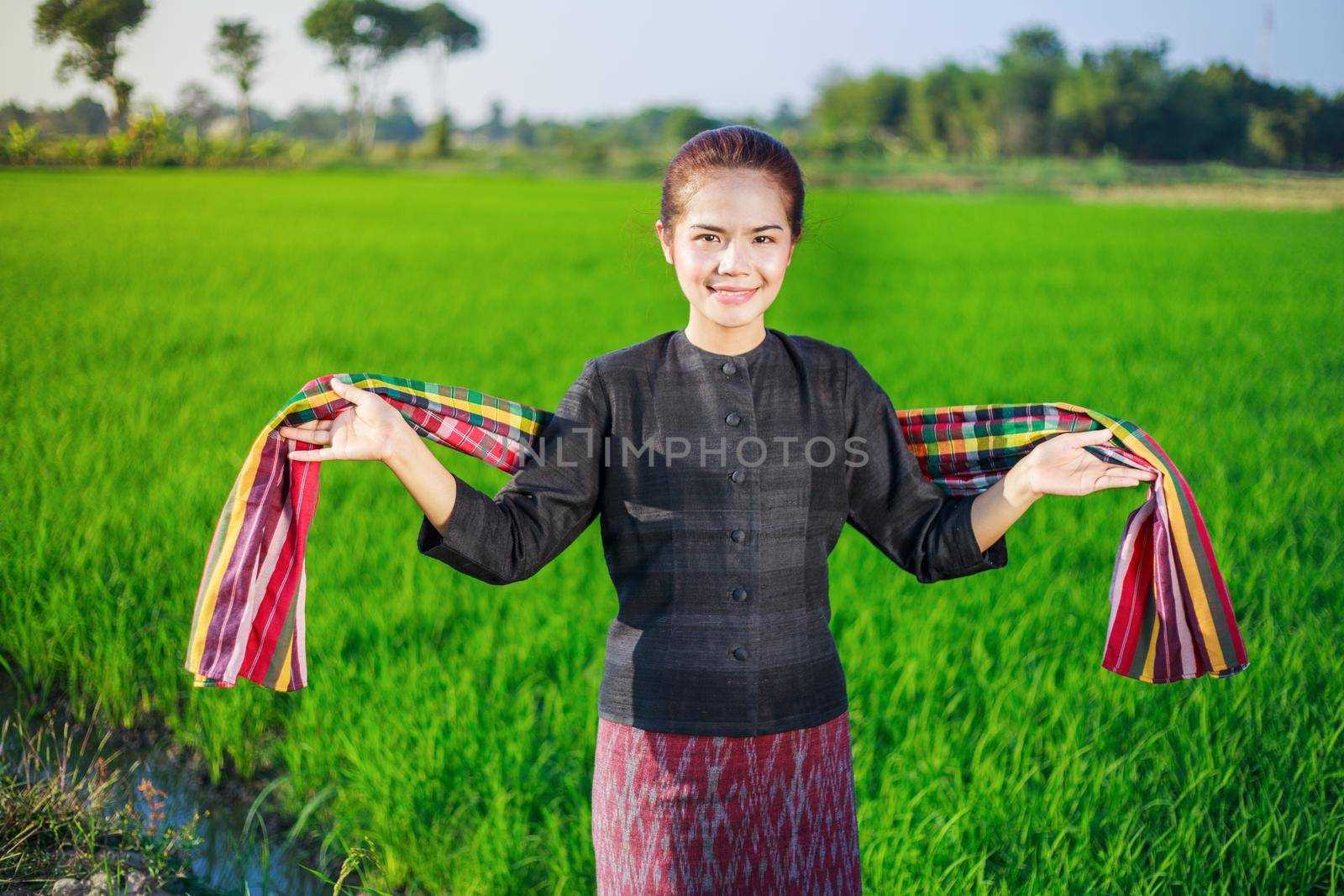 beautiful farmer woman in rice field, Thailand