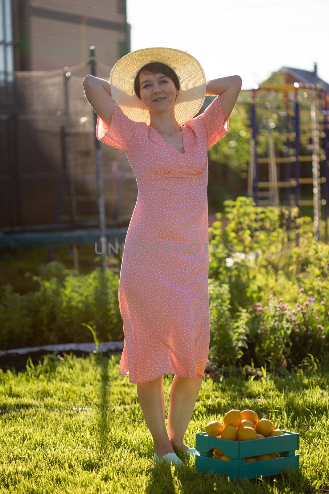 Young caucasian positive woman gardener in hat and pink dress holds box with lemons in her hands on sunny summer day.