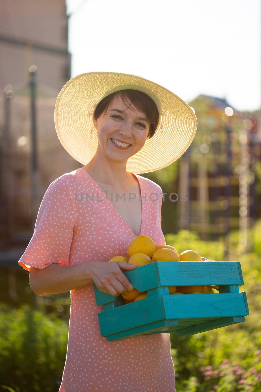 Young caucasian positive woman gardener in hat and pink dress holds box with lemons in her hands on sunny summer day.