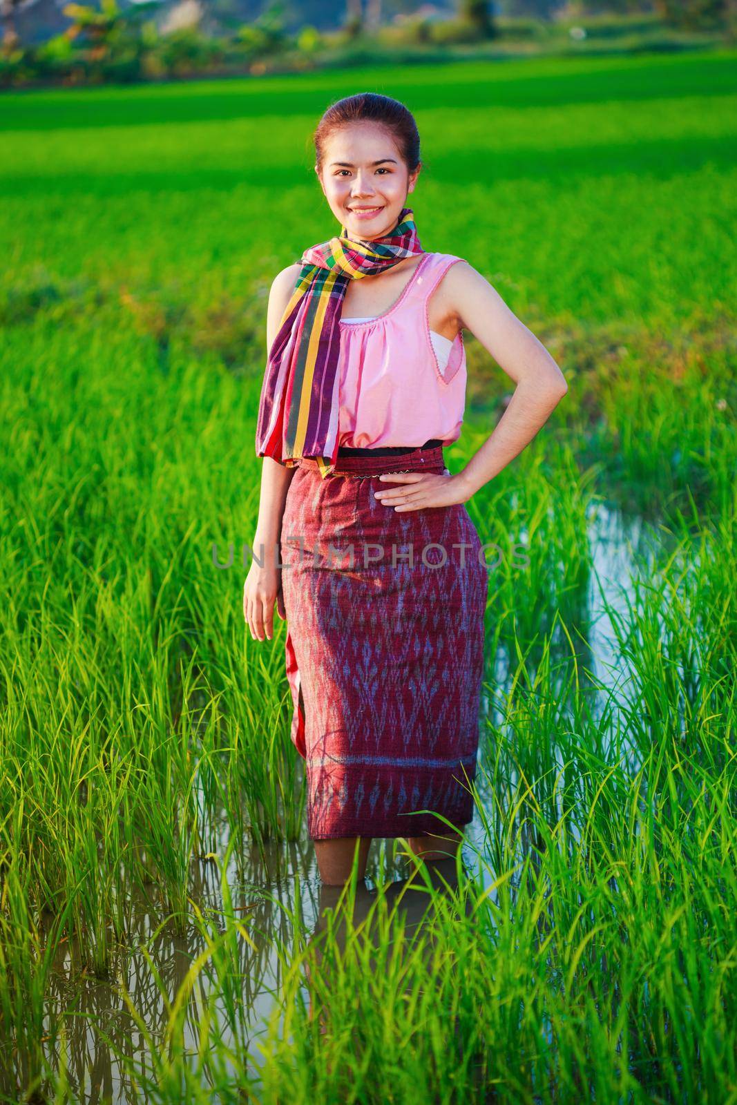 beautiful farmer woman in green rice filed by geargodz