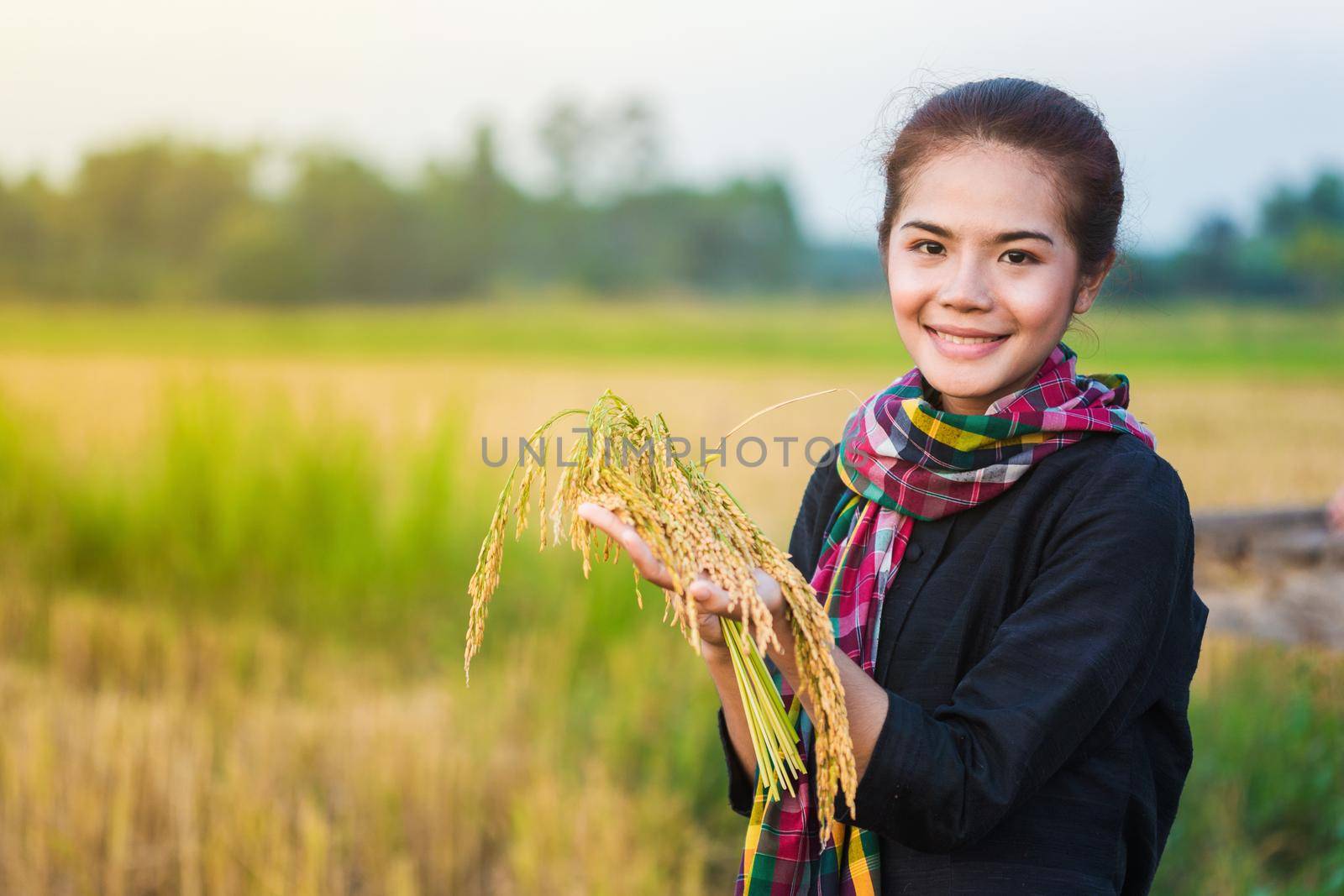 farmer woman holding rice in field, Thailand