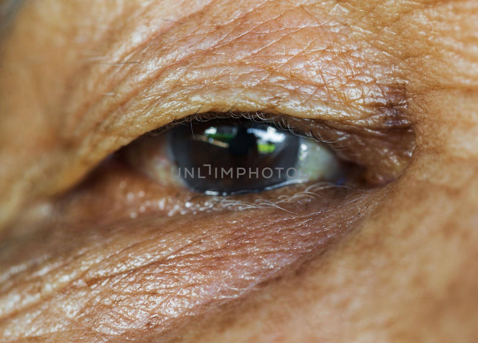 Close-up of old woman's eye	
