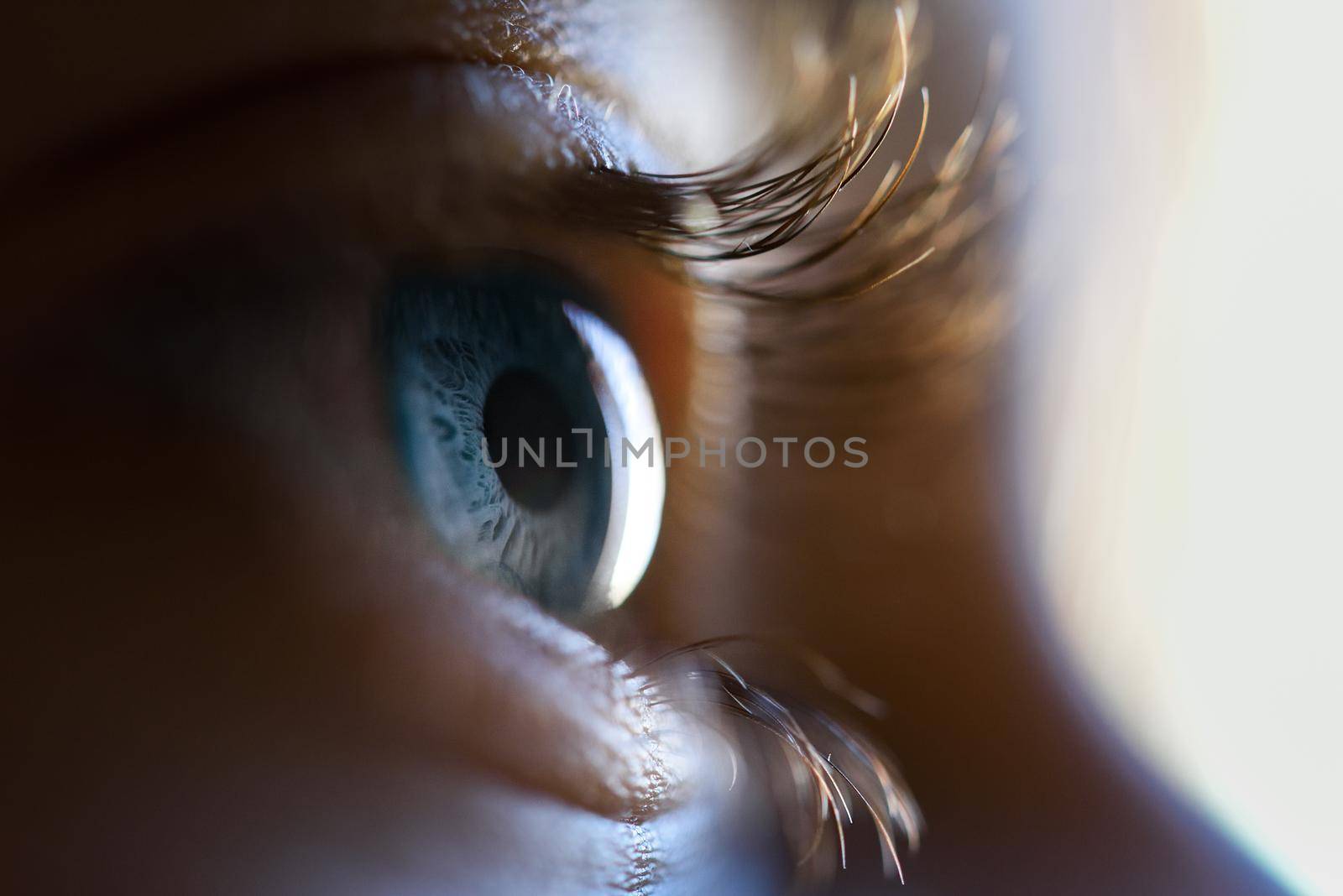 Close-up of beautiful little girl blue eye. Macro photograph.