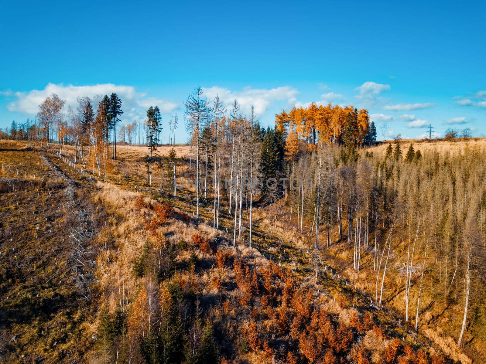 Aerial view of autumn countryside, traditional fall landscape in central Europe by artush