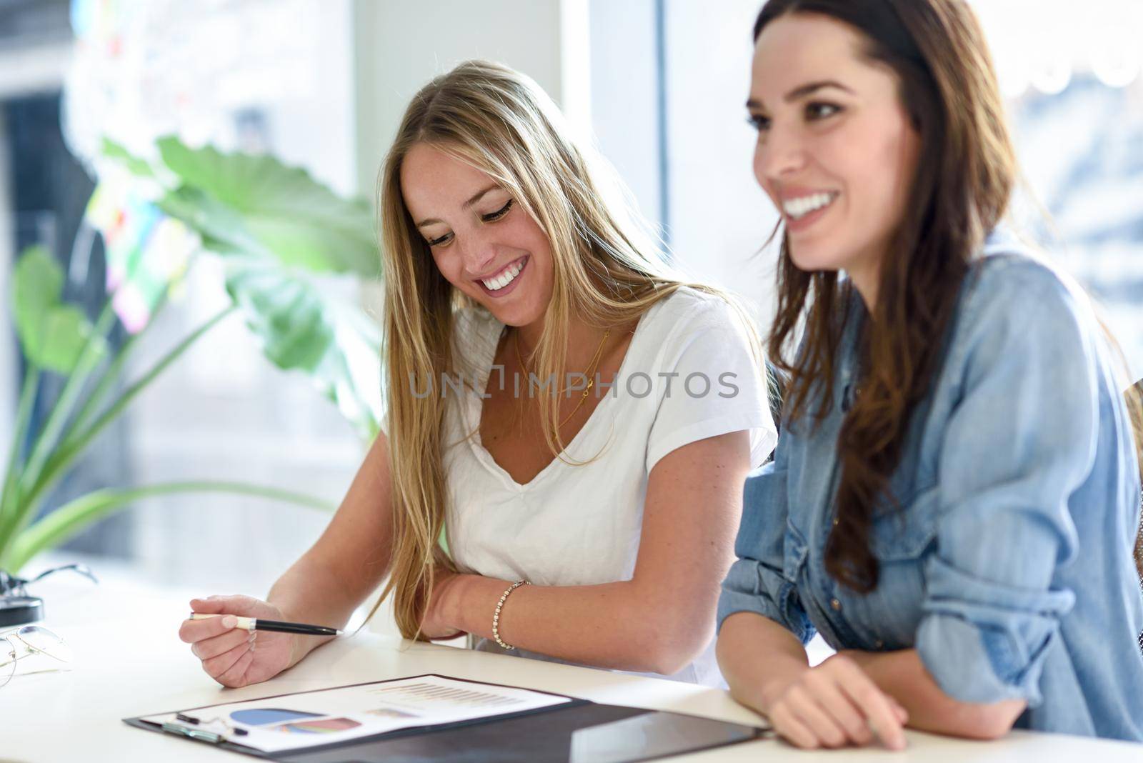 Two young women studying graphics on white desk. Beautiful girls working toghether wearing casual clothes.