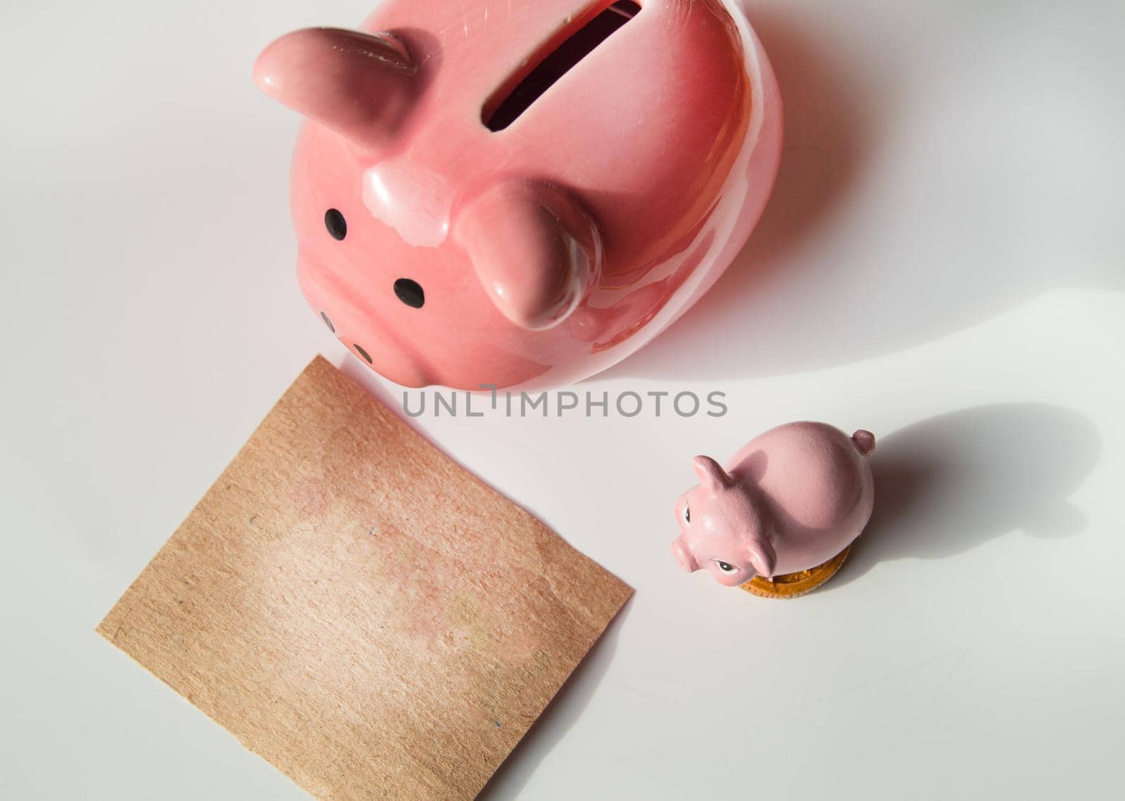 Two cute pink piggy banks on a white background and a wrapping paper layout with copy of the space and place for the text.