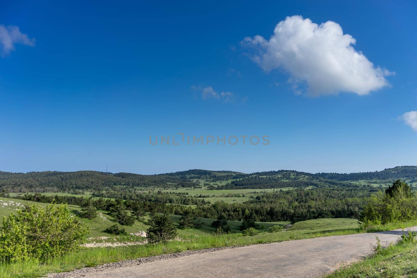 flat landscape with green vegetation and road under blue sky with clouds