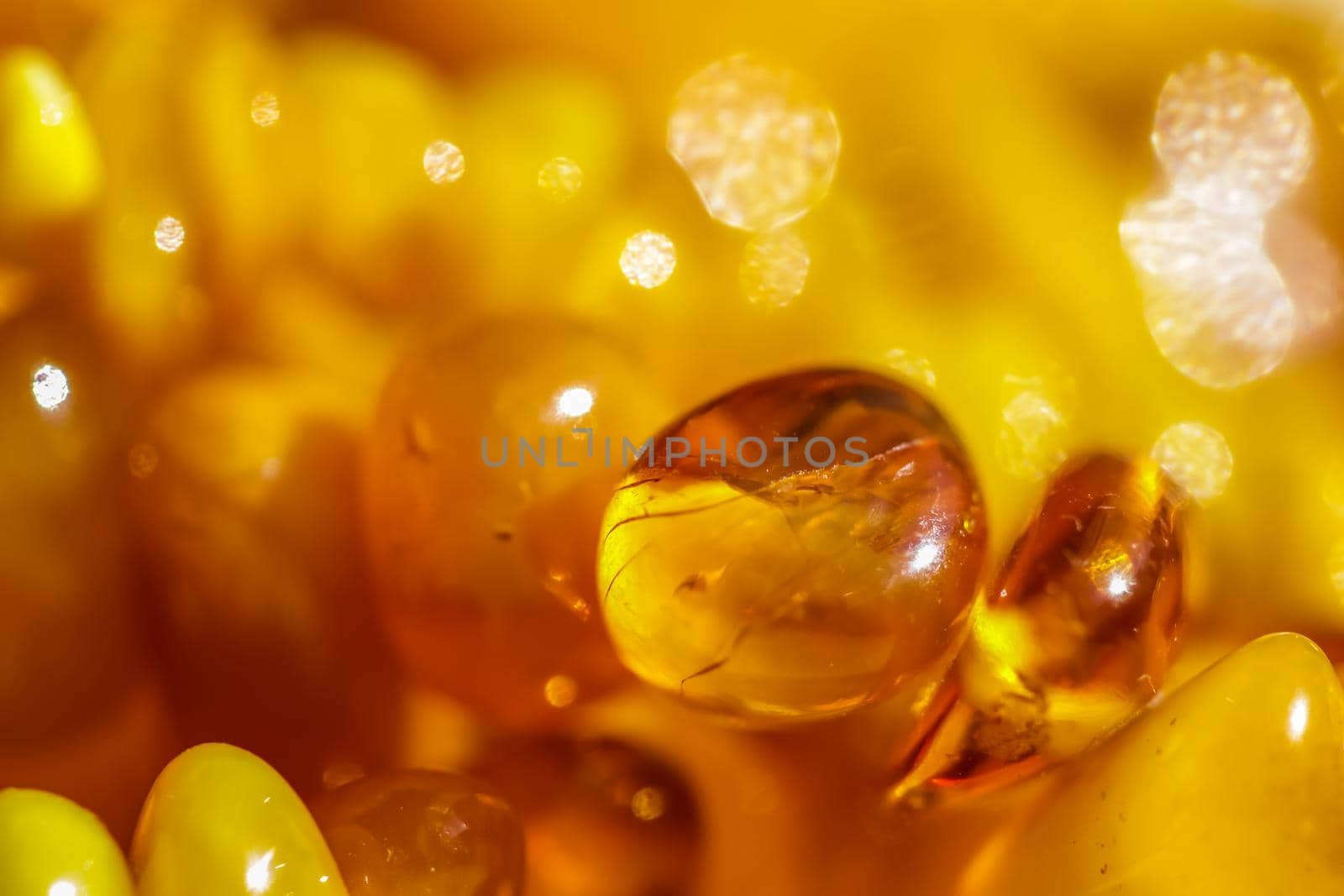 Sunny beads of fire amber. Natural gemstone background, jewelry concept by Olayola