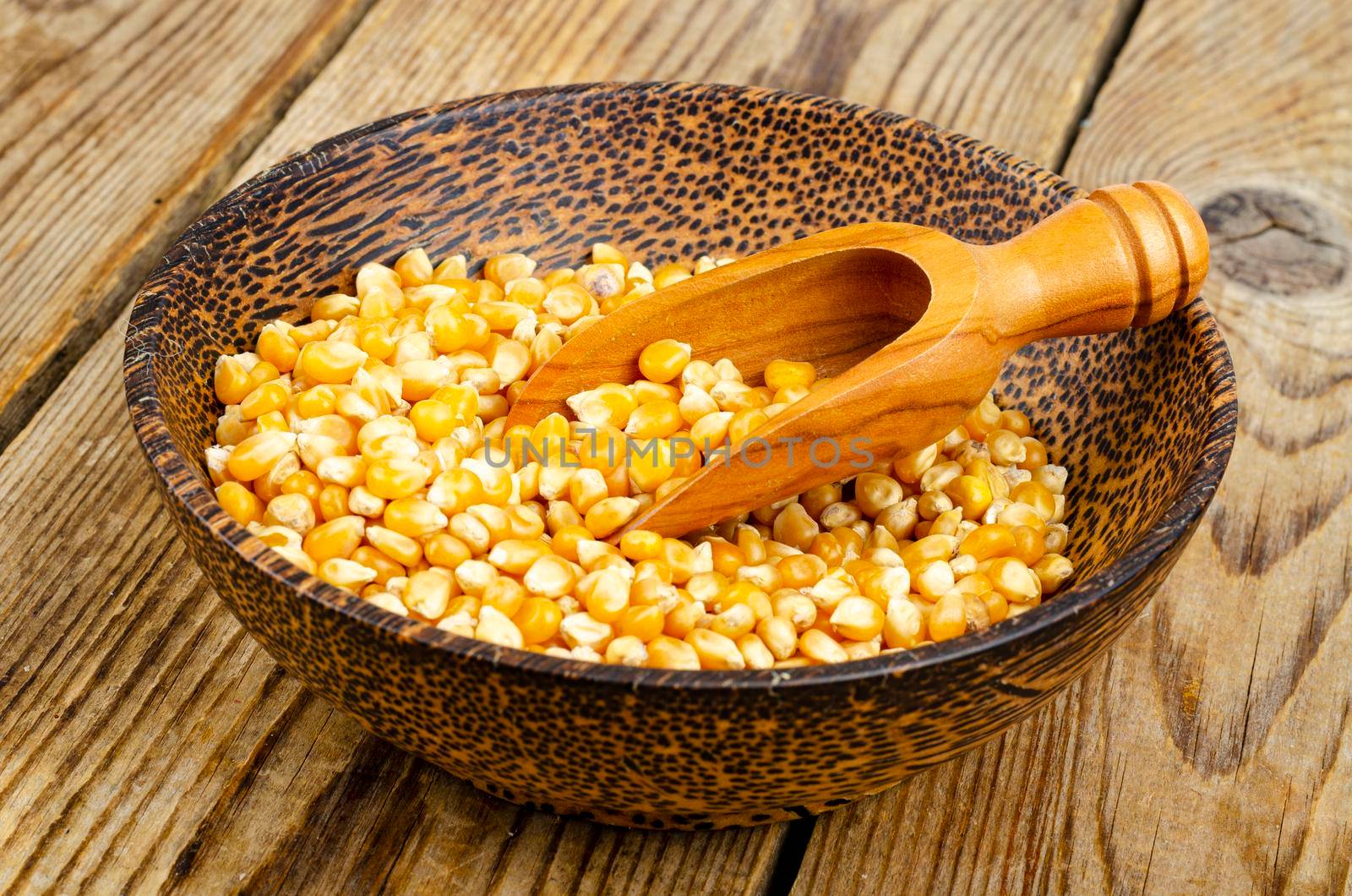 Dry corn grains in bowl for making popcorn. Studio Photo