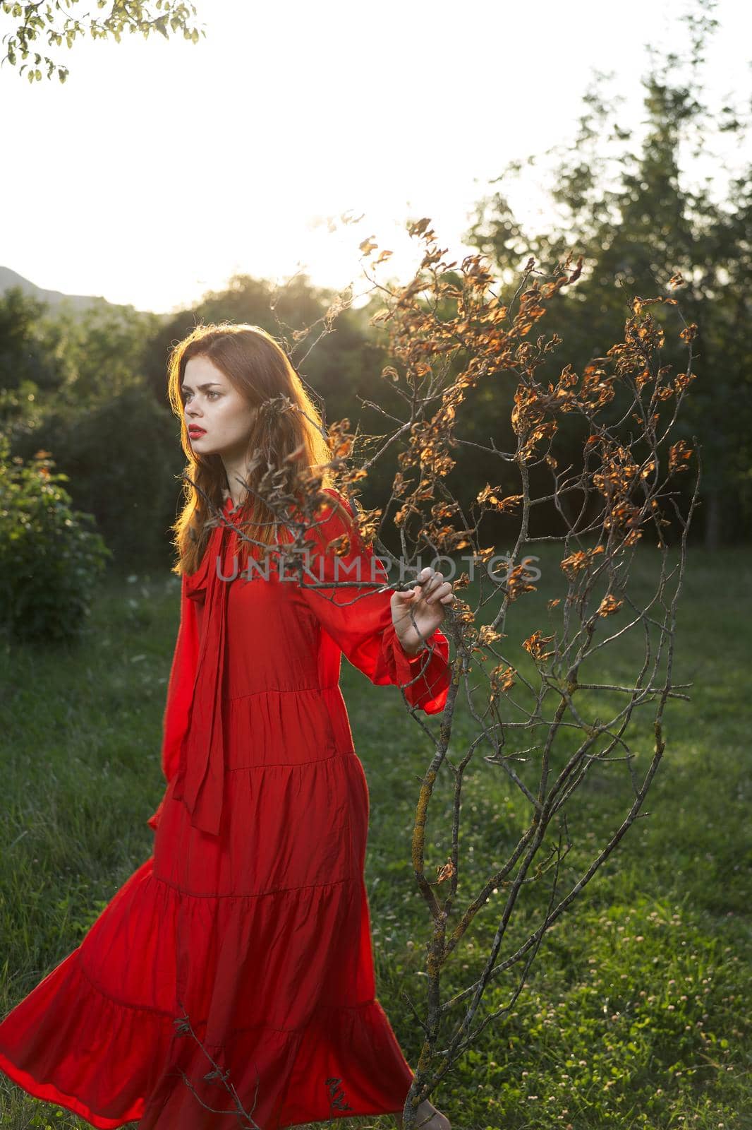 woman in red dress in field near tree posing summer. High quality photo