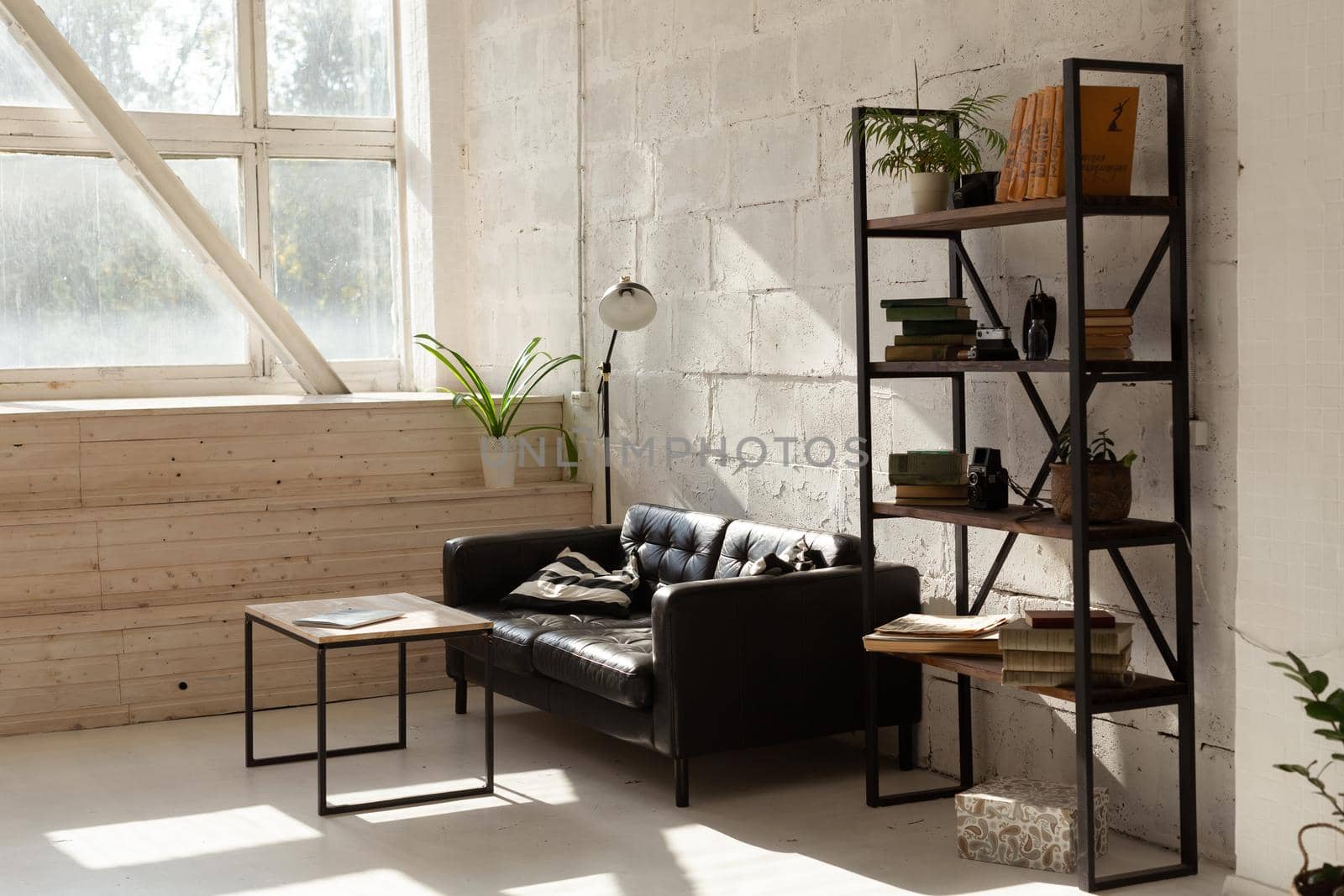 Elegant black sofa in modern living room interior.