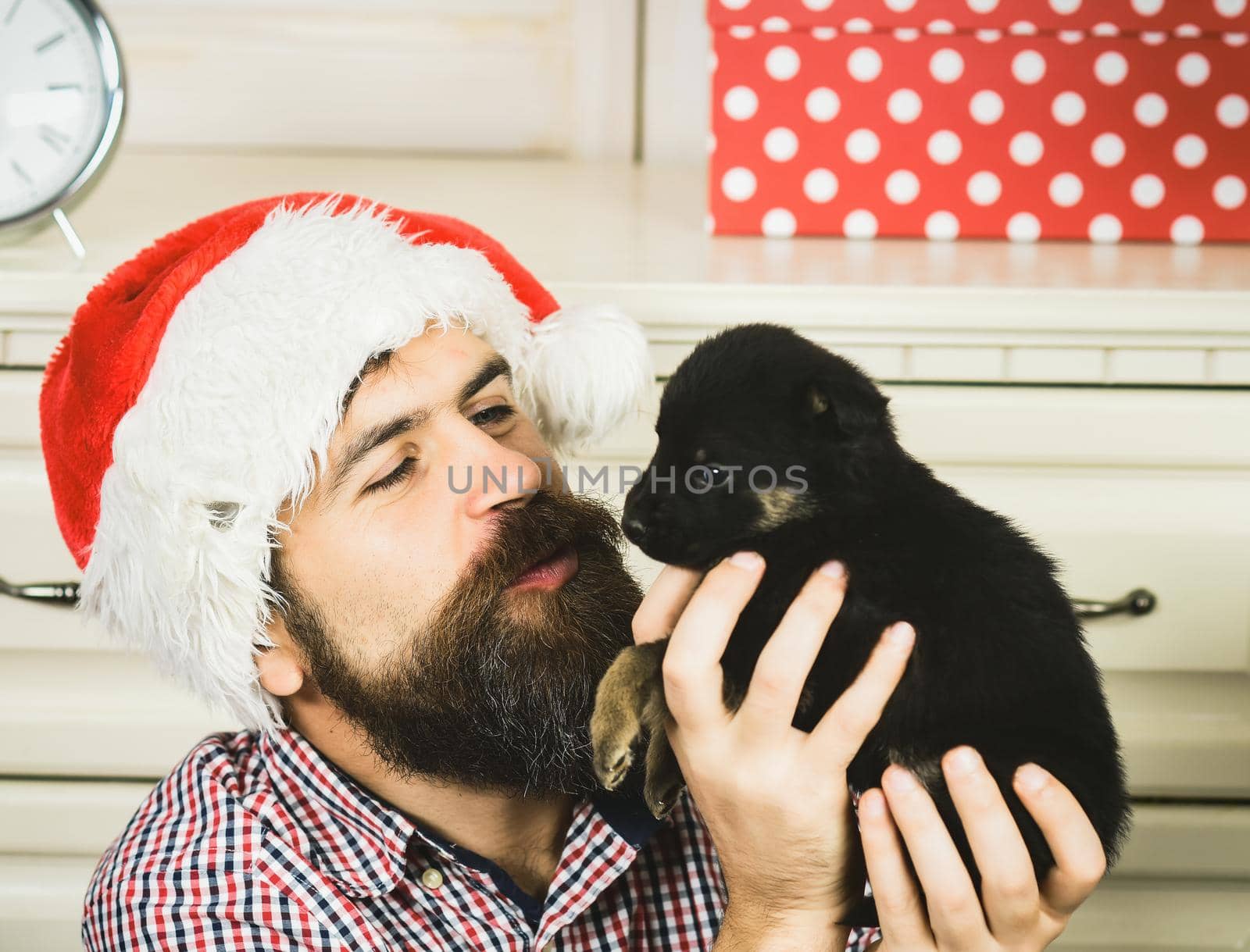 Christmas man kiss puppy. Santa and winter holiday, dog year.