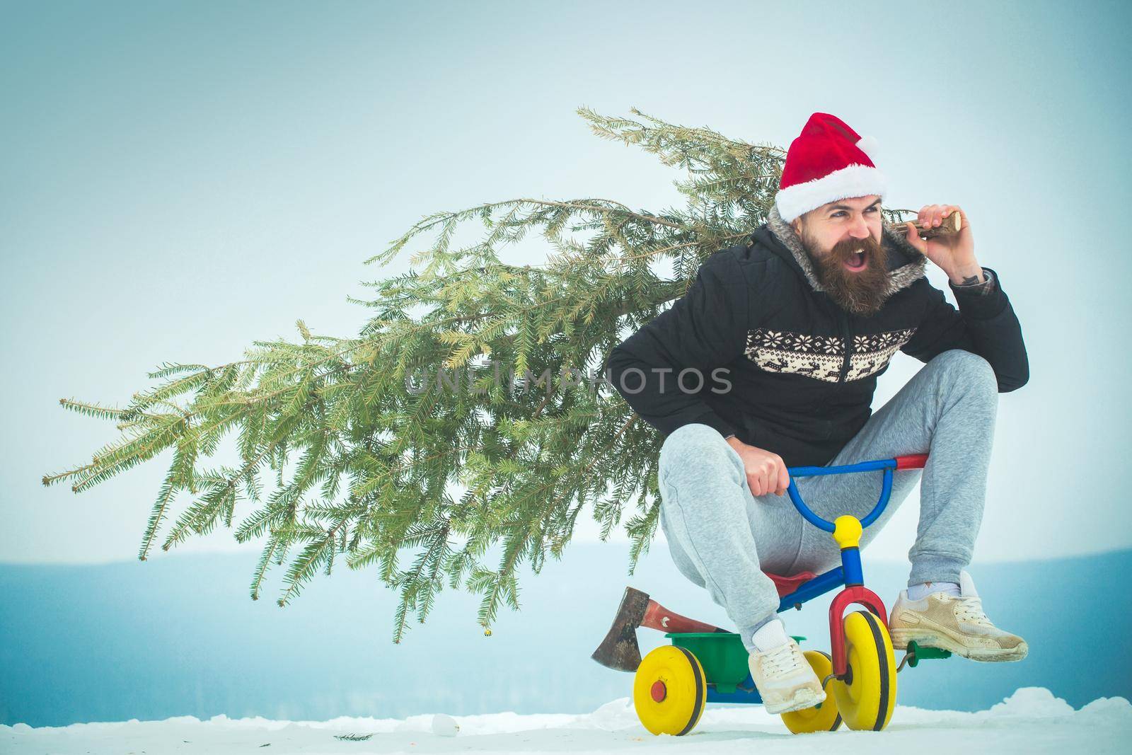 Excited cyclist in santa hat with pine Christmas tree on kids bicycle. Happy hipster carrying xmas tree on white snow. Man riding tricycle on snowy landscape.